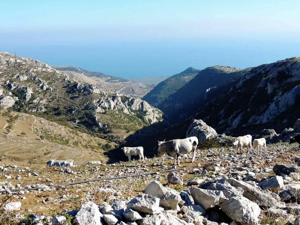 On site in B&B Angela