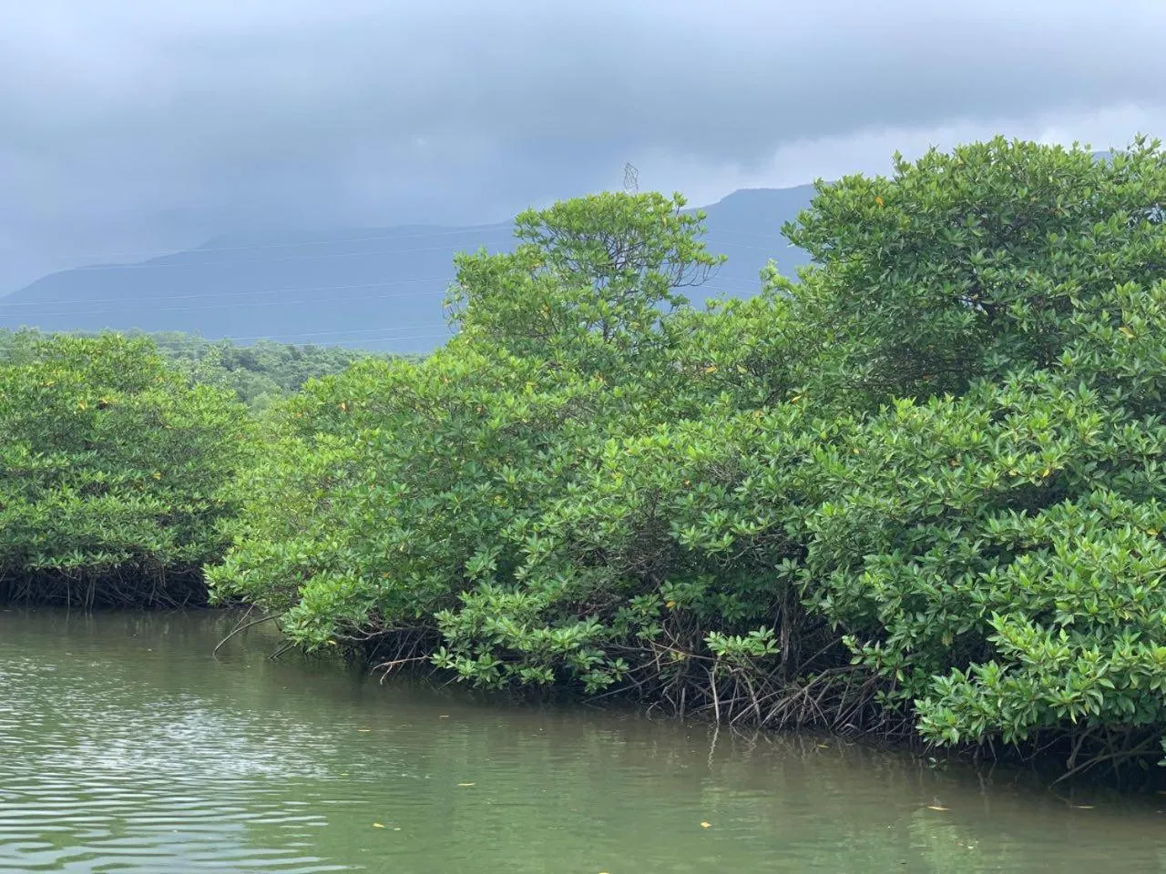 View (from property/room) in Prek Kdat Resort