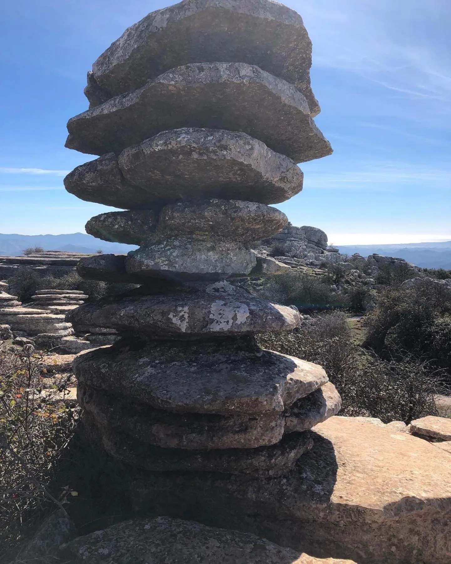 Finca Las Campanas II