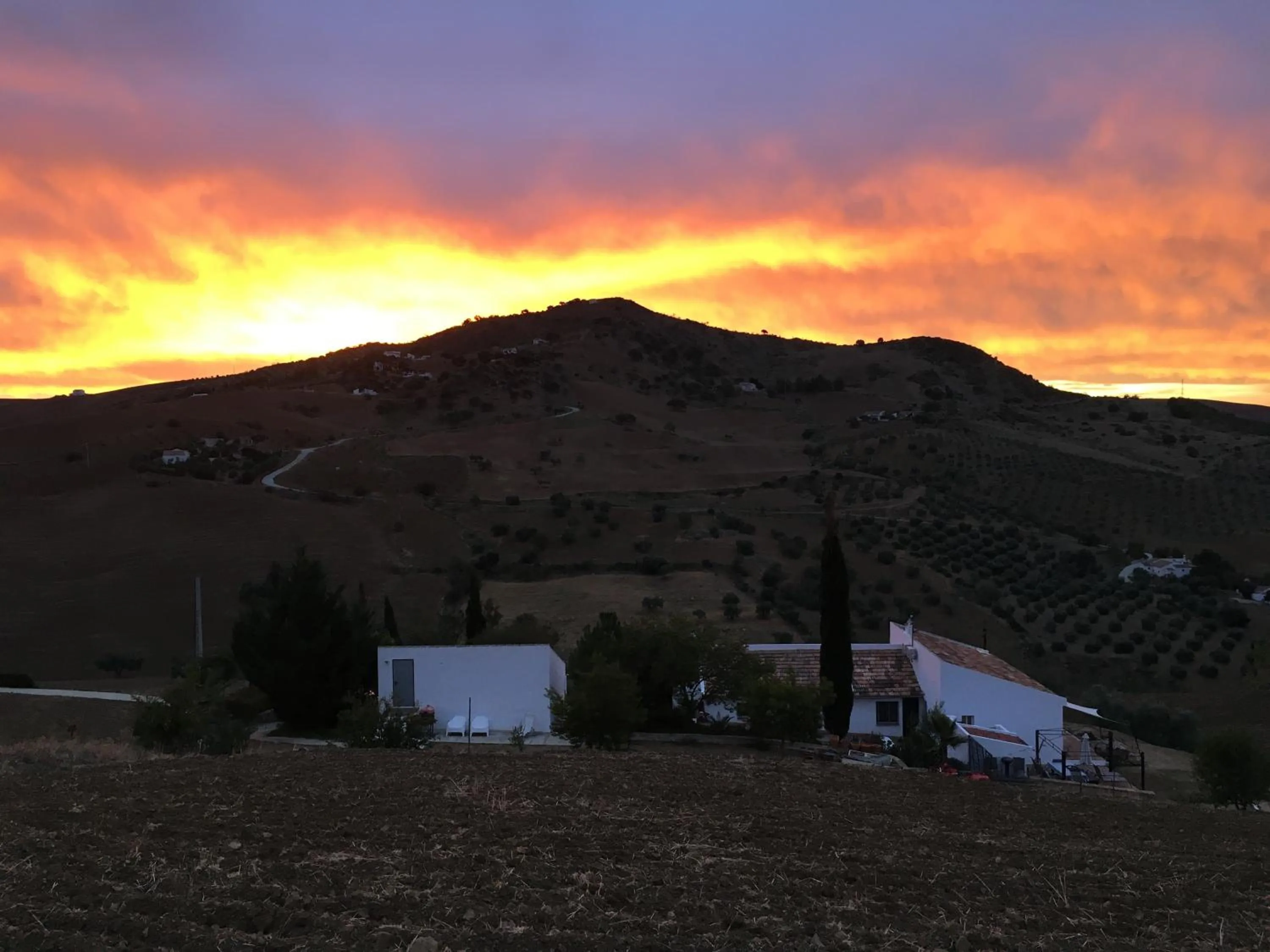 Natural landscape in Finca Las Campanas II