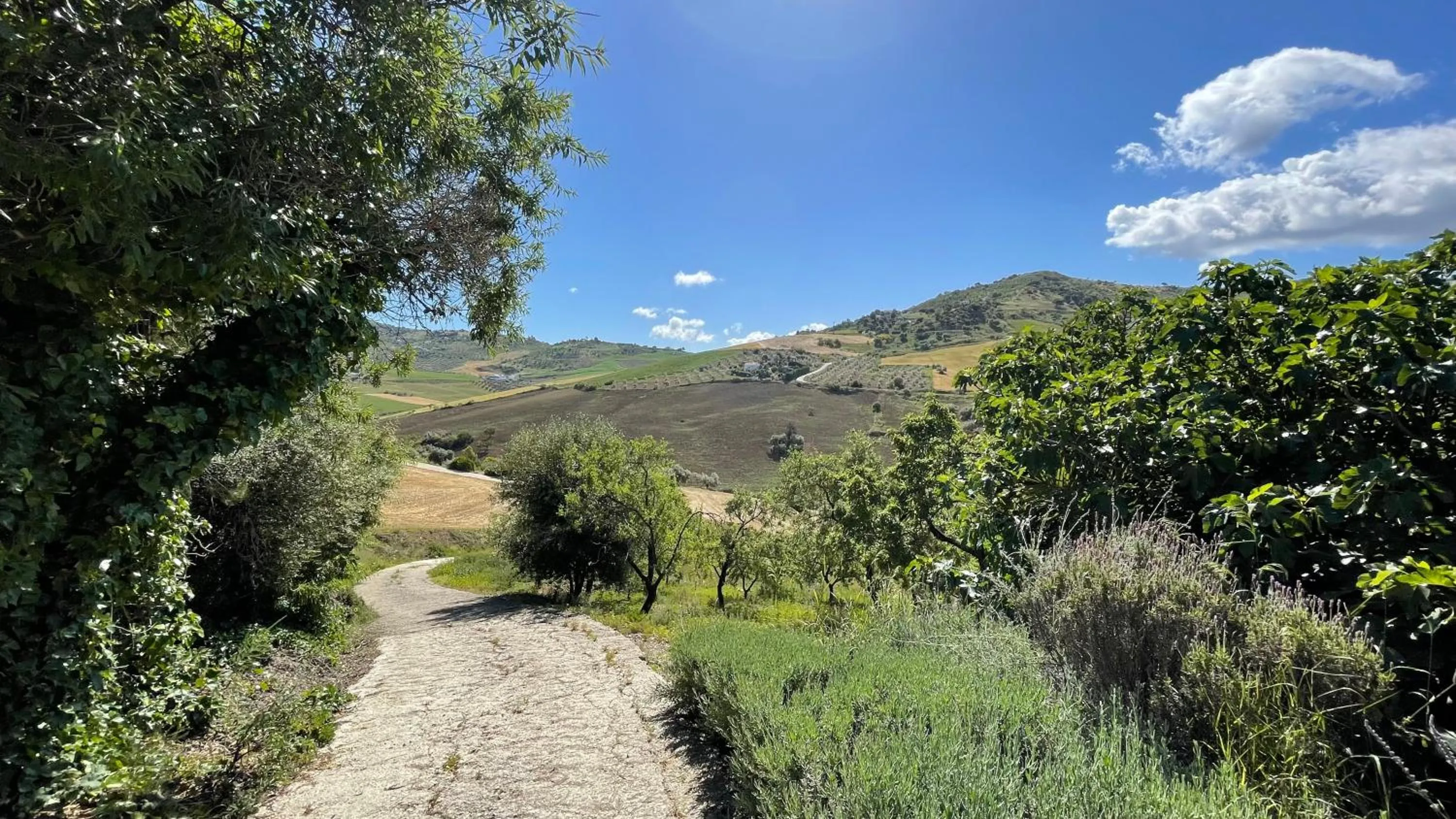 Street view in Finca Las Campanas II