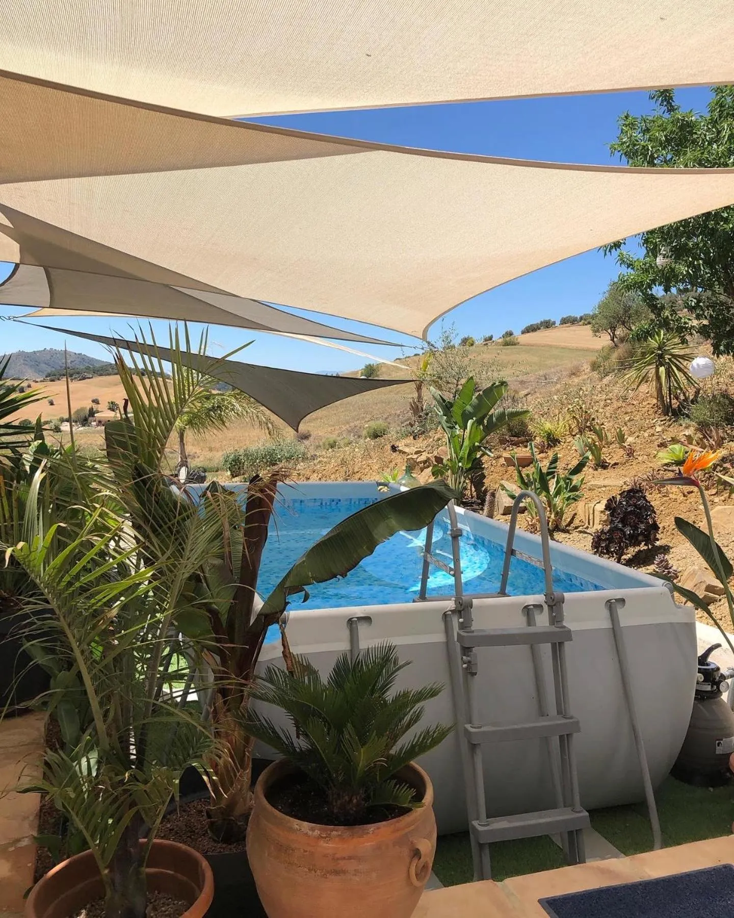 Swimming pool in Finca Las Campanas II