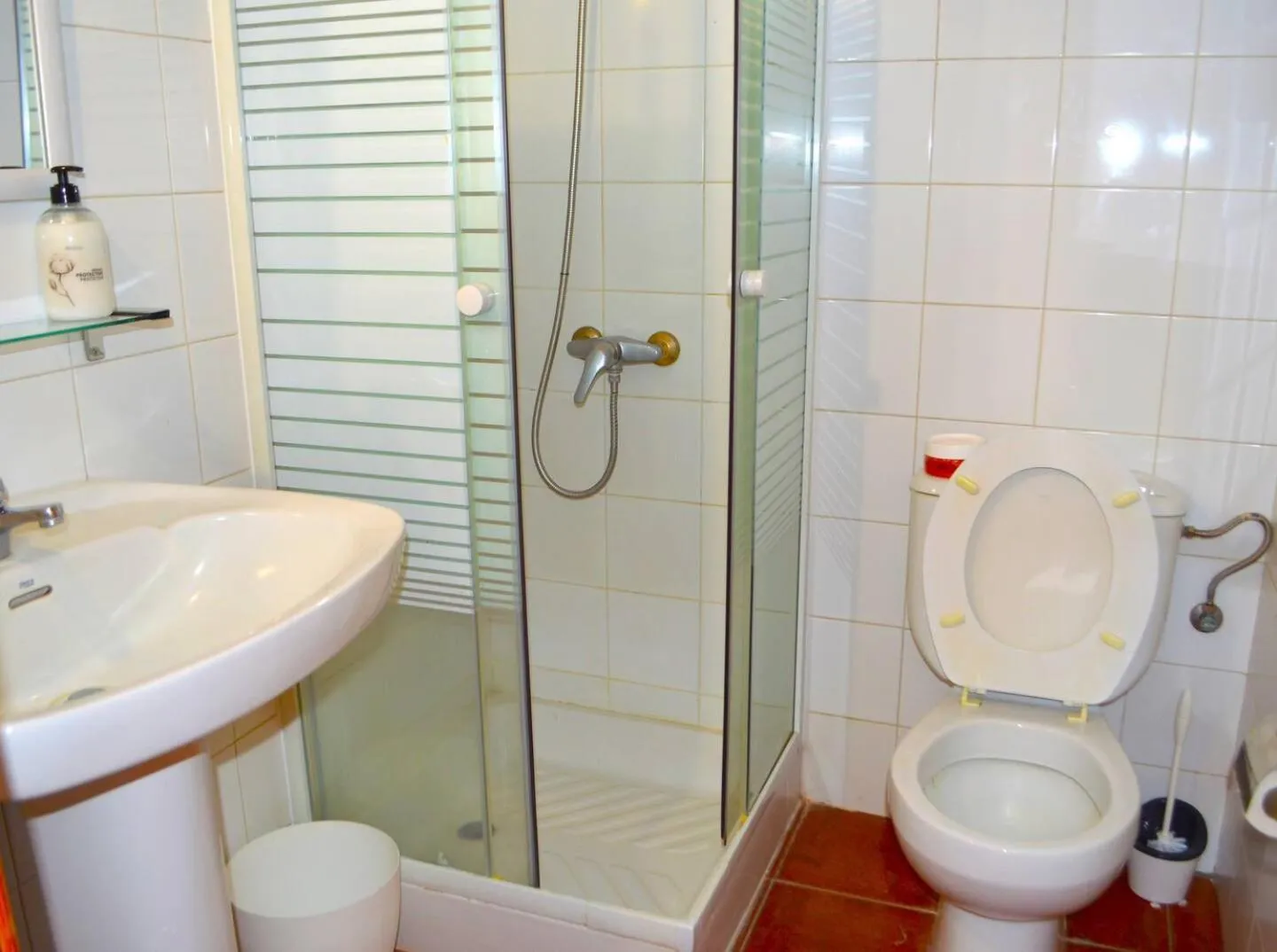 Ziggy's Mountain Retreat