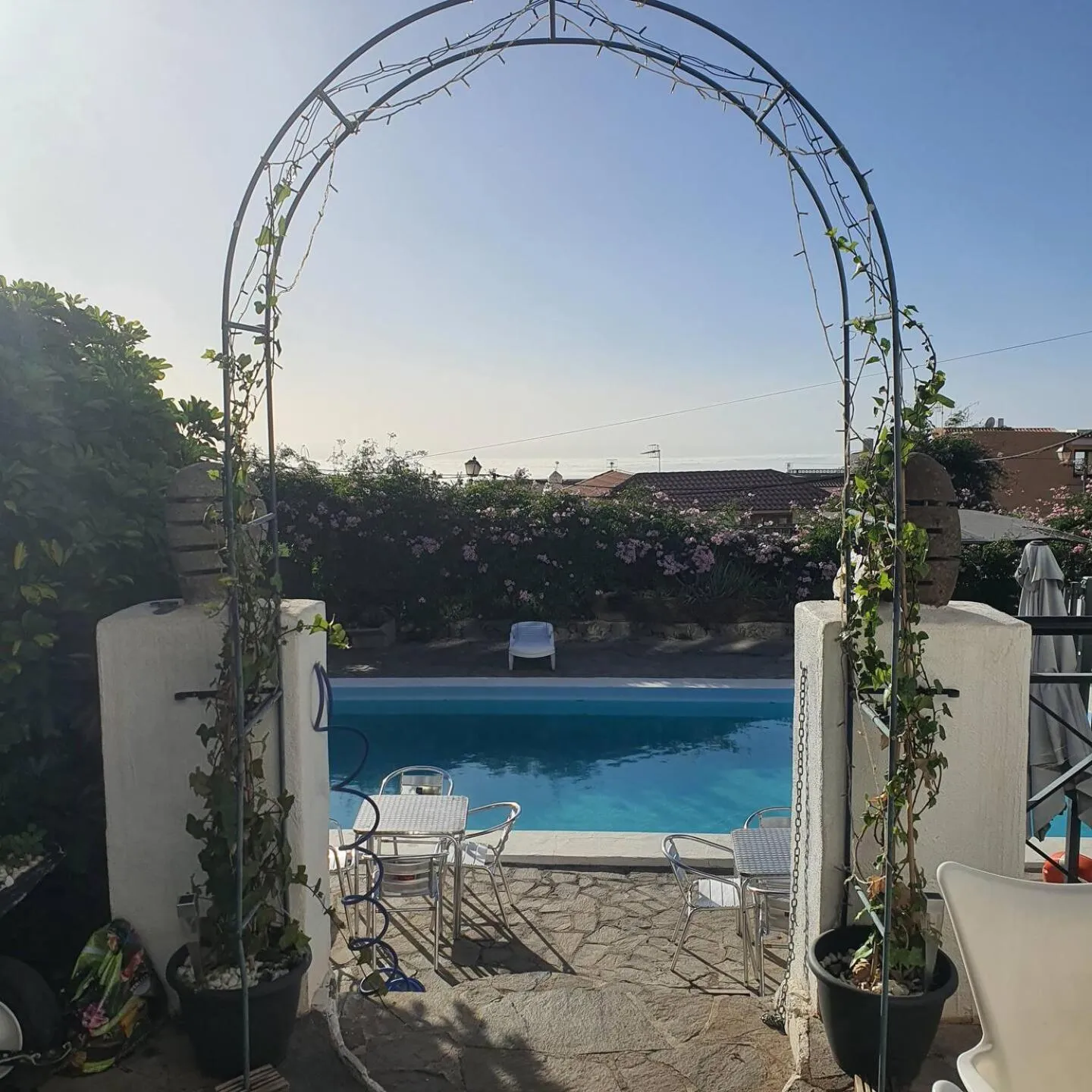 Ziggy's Mountain Retreat