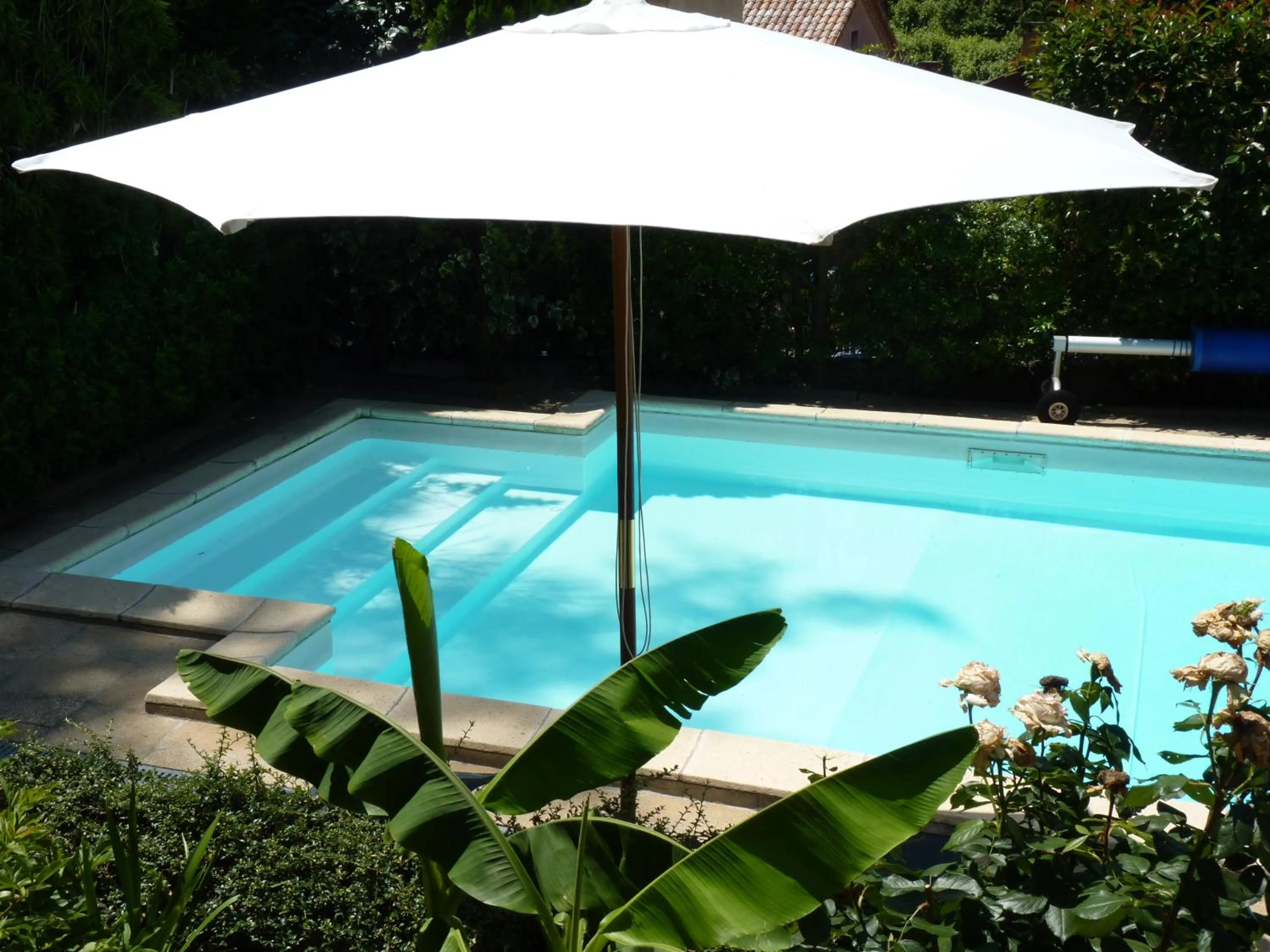 Garden in Pavillon Kalensa