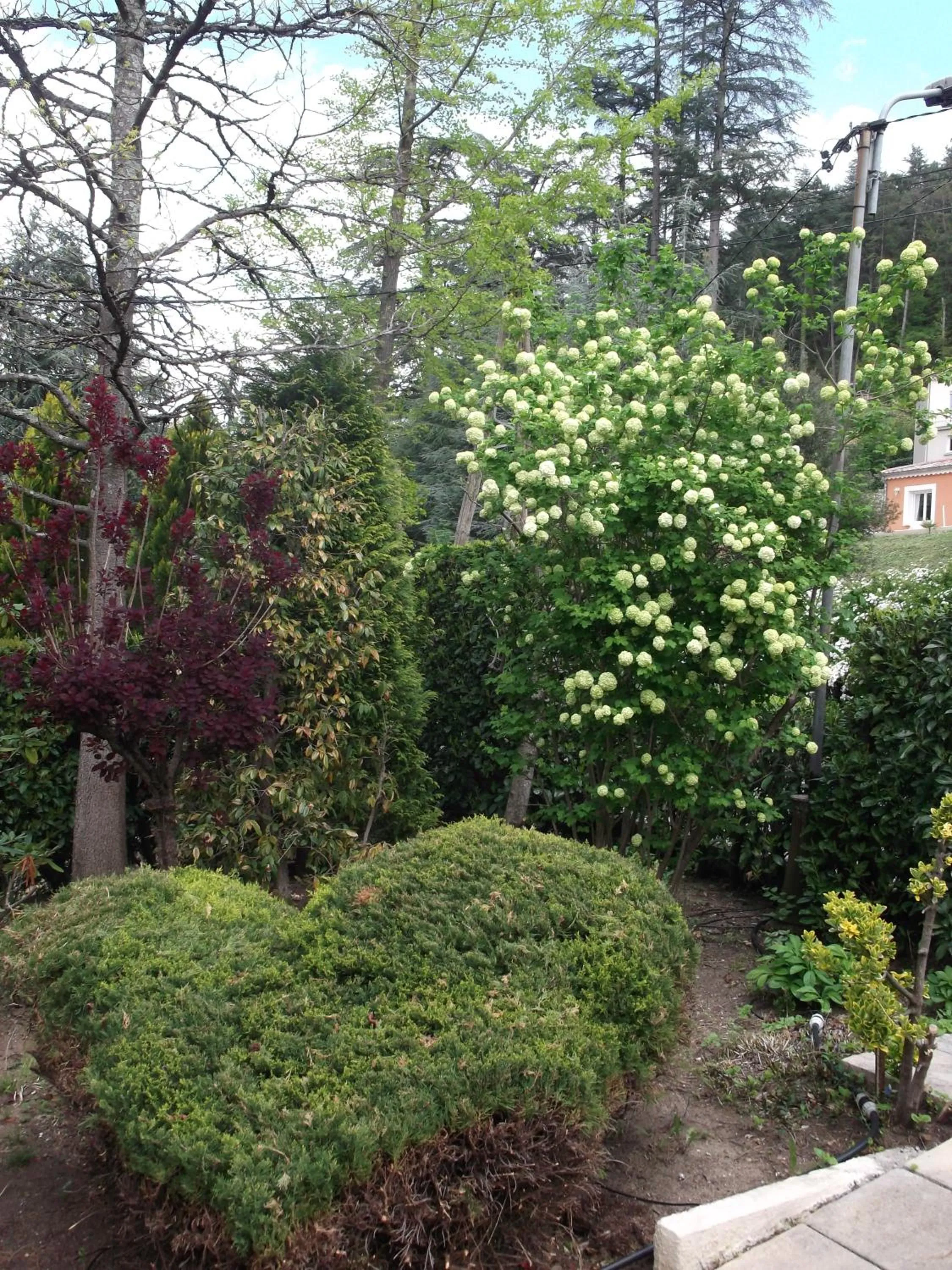 Garden in Pavillon Kalensa