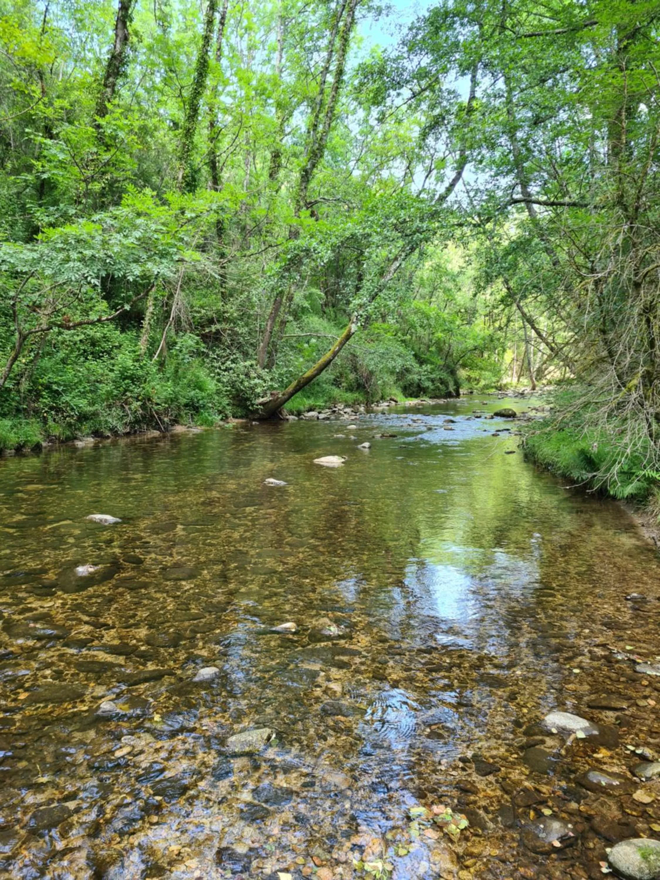 Nearby landmark in Pavillon Kalensa