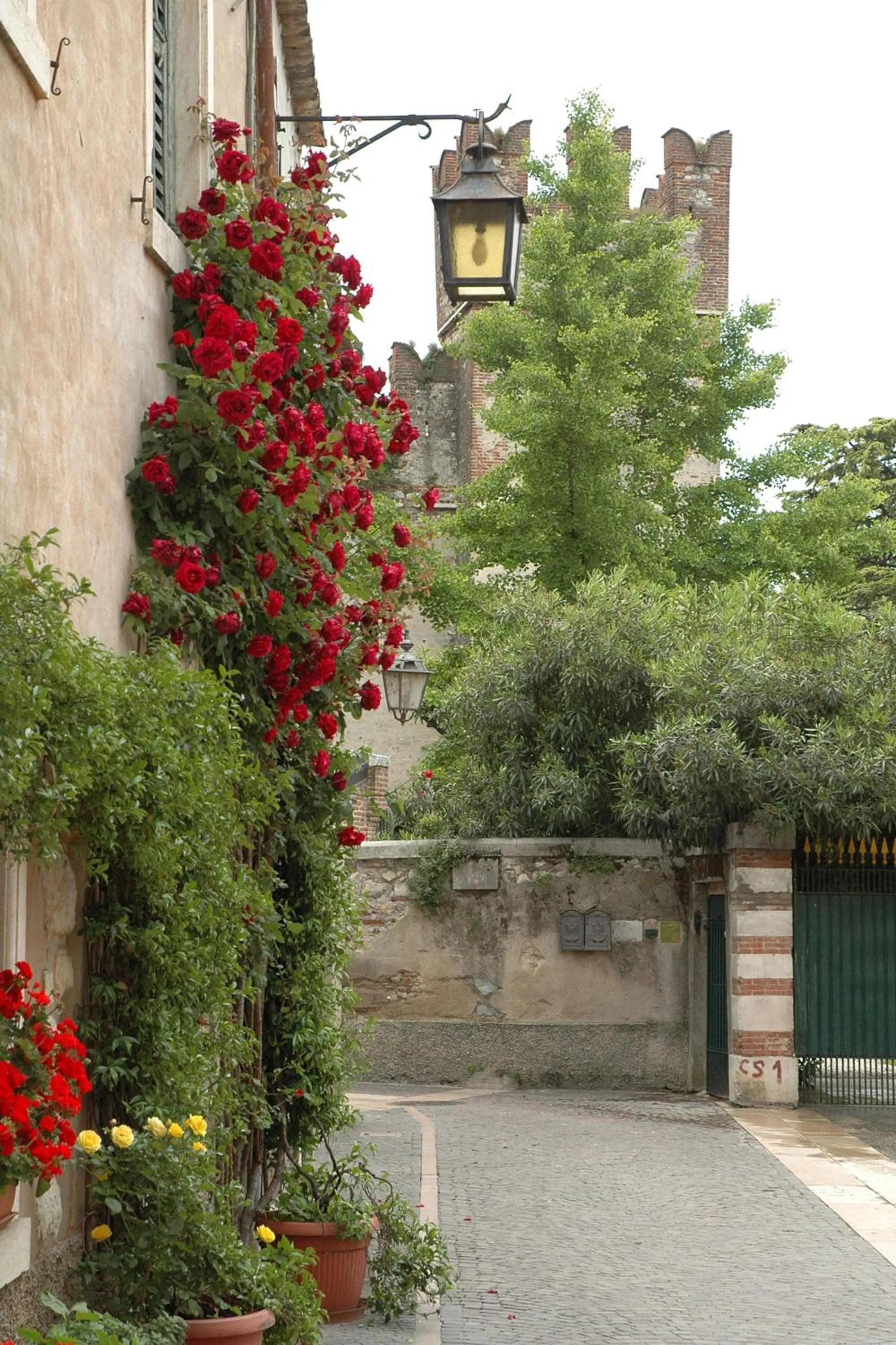 Other in Hotel da Roberto