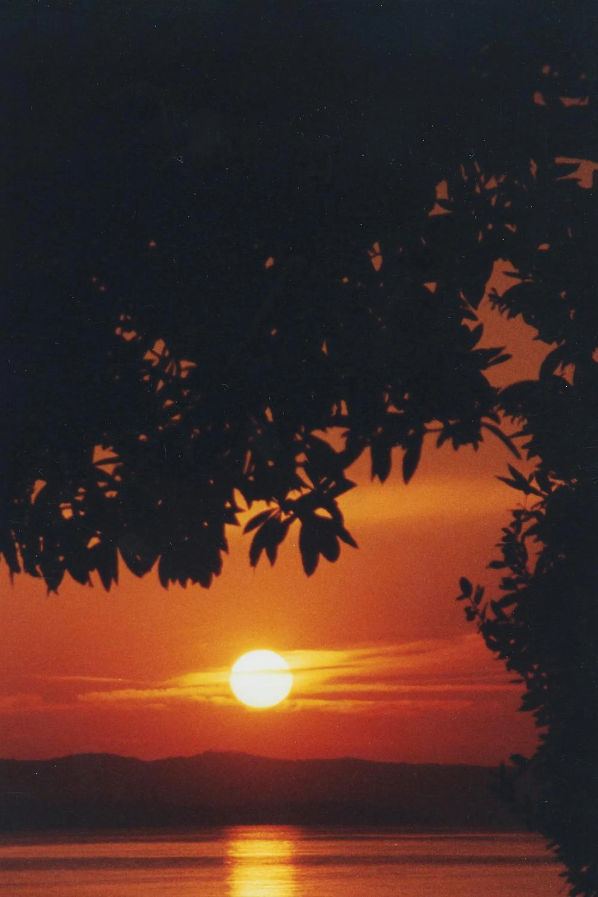 Other in Hotel da Roberto