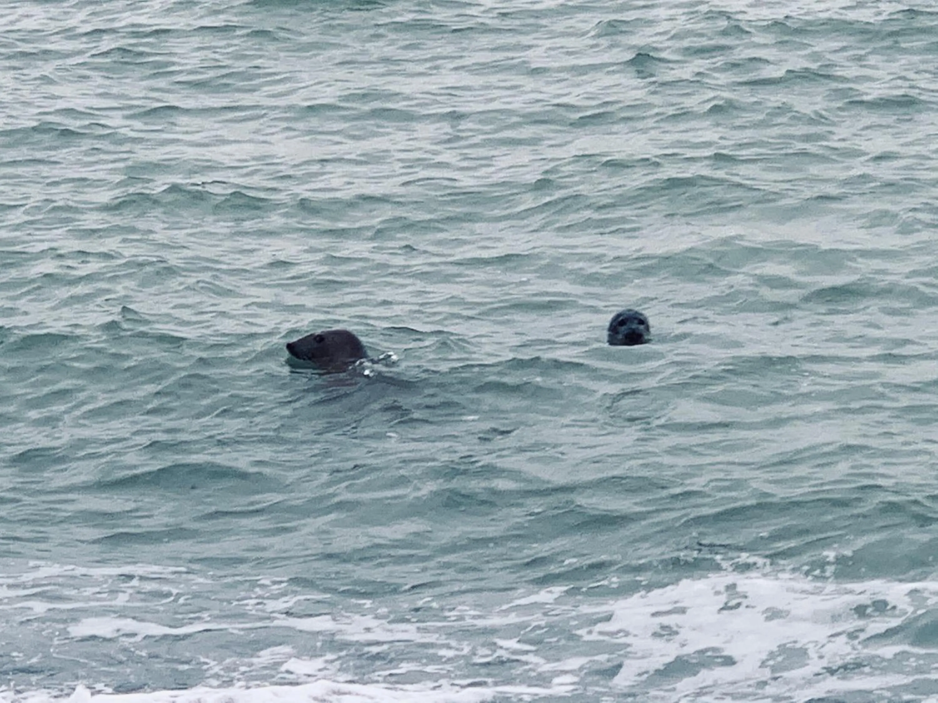 Natural landscape in B&B Zeeuws genoegen