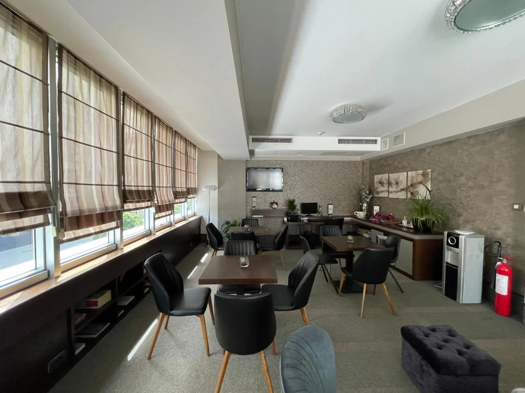 Lounge or bar in Queen's Hotel - Zebra Centre