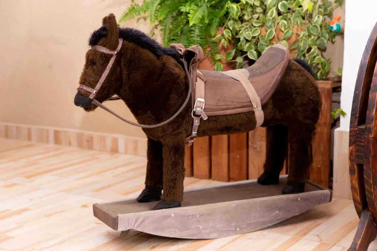 Animals in Pousada Alegria do Cowboy