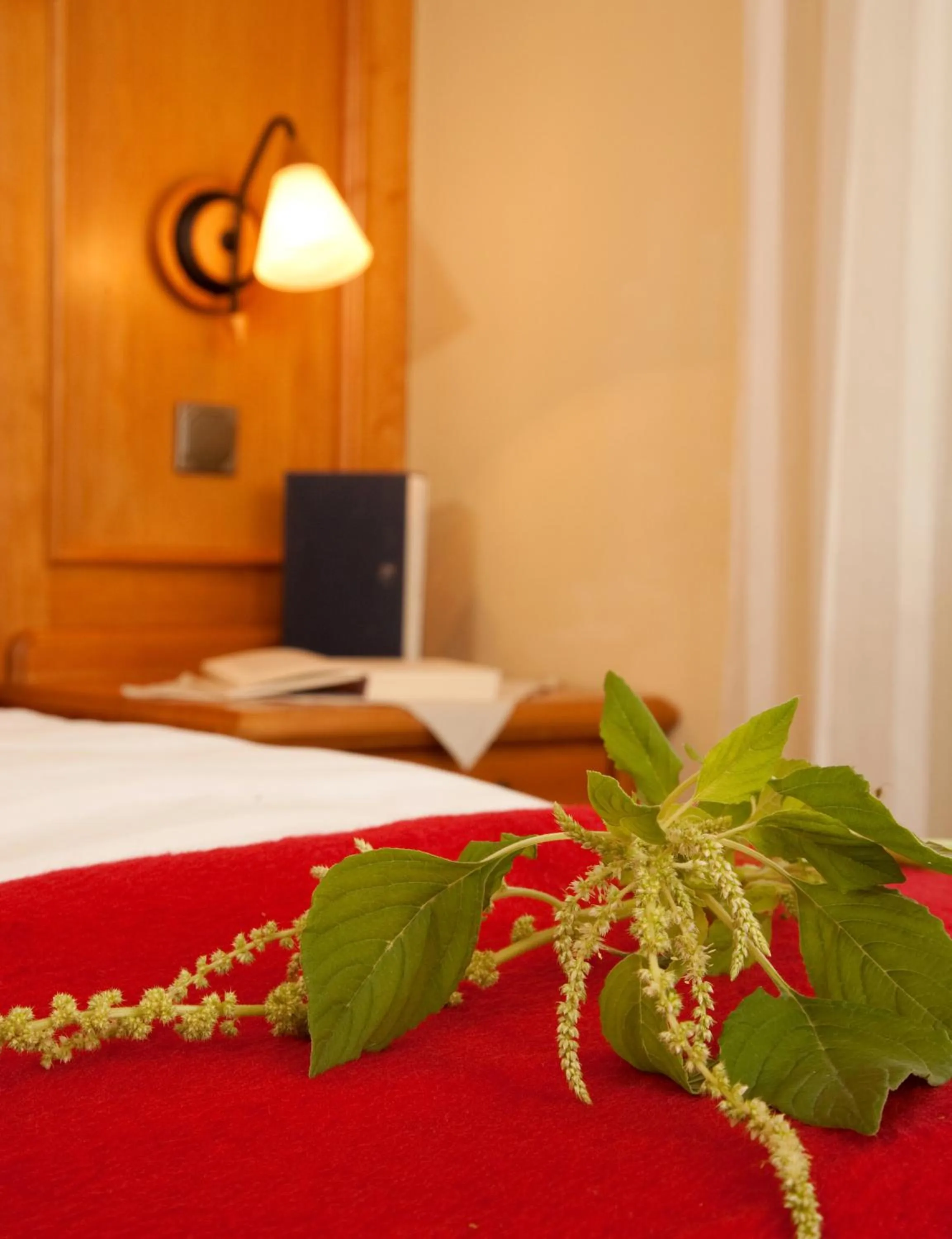Single Room - single occupancy in Landhotel Bayerwald