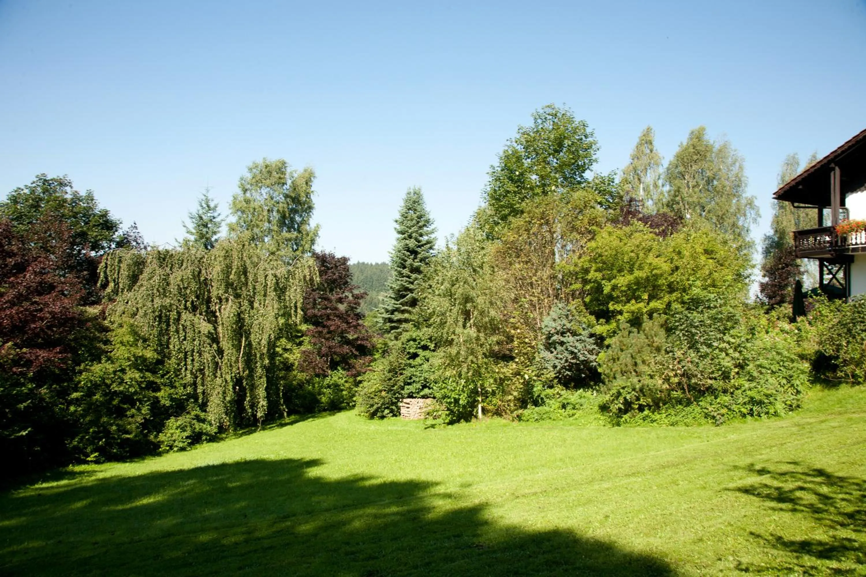Garden in Landhotel Bayerwald