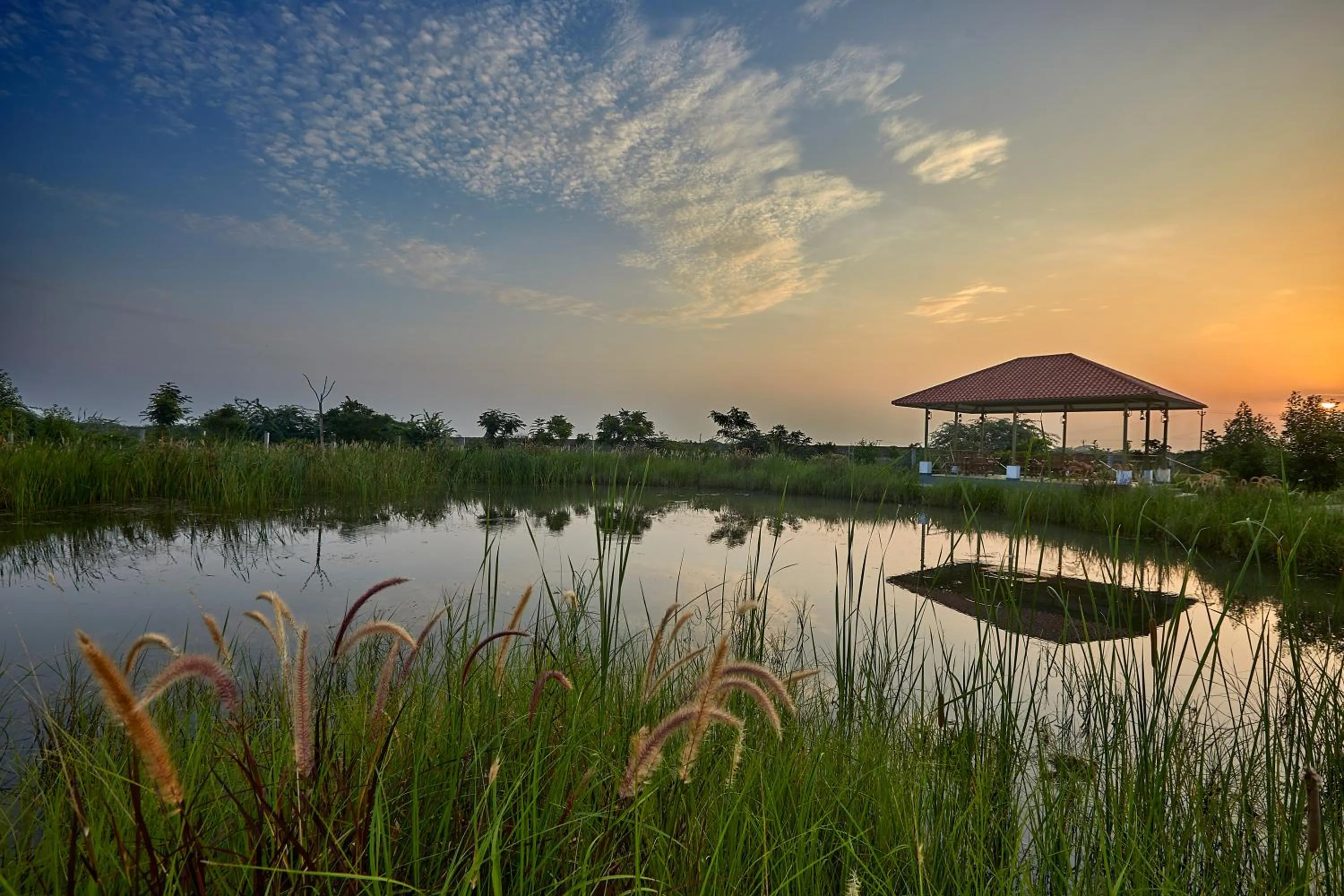 Garden view in Blackbuck Safari Lodge Velavadar
