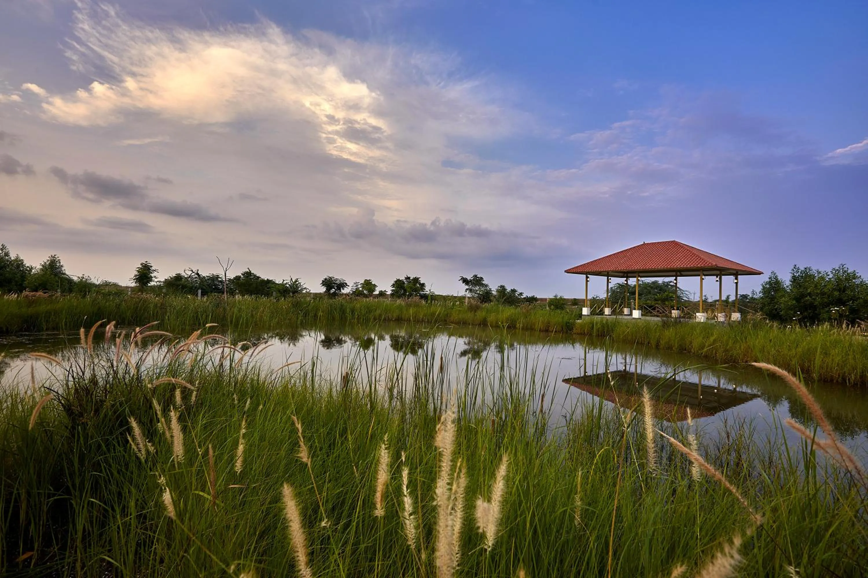 Natural landscape in Blackbuck Safari Lodge Velavadar
