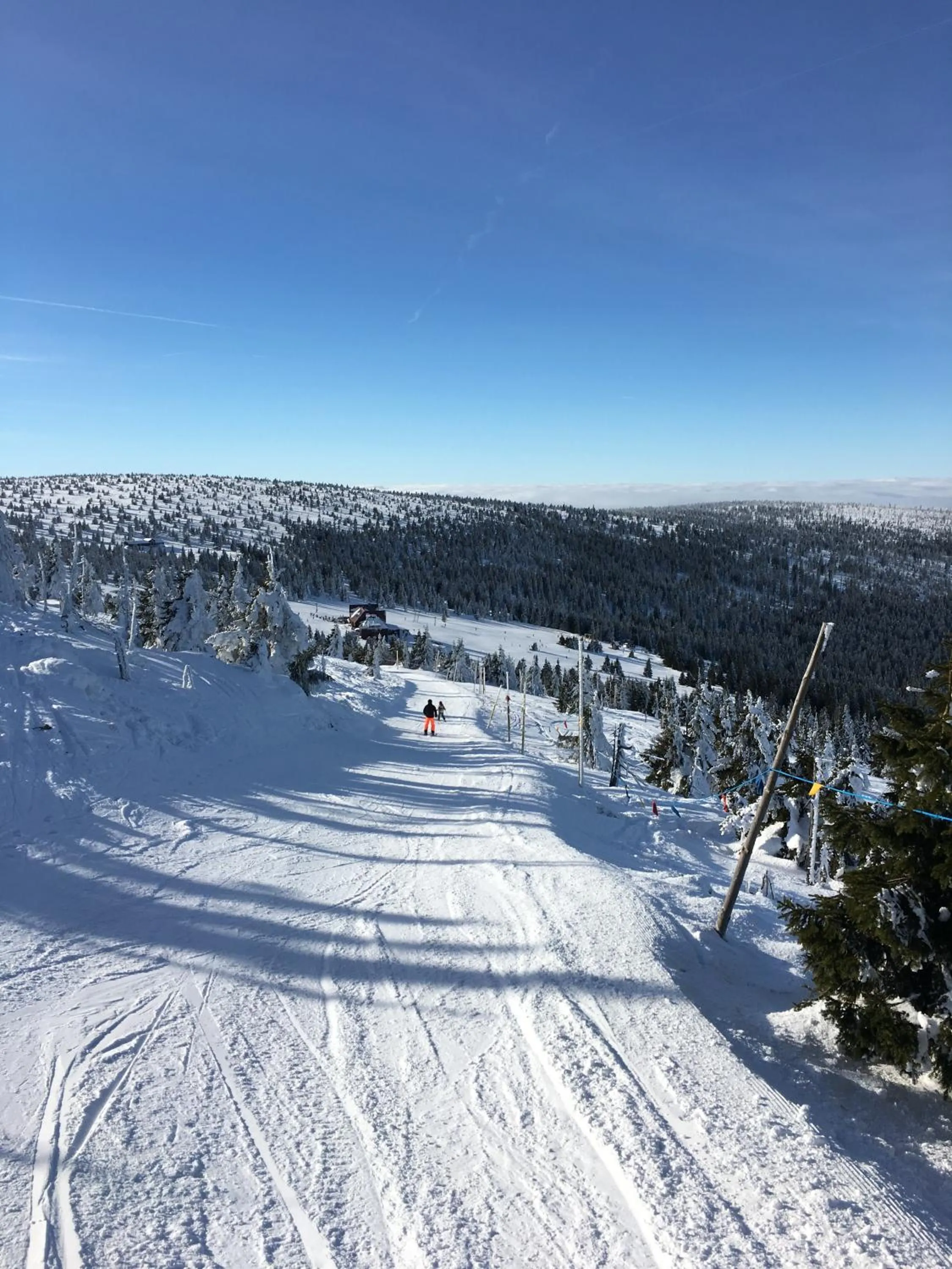 Day in Willa Na Cichej