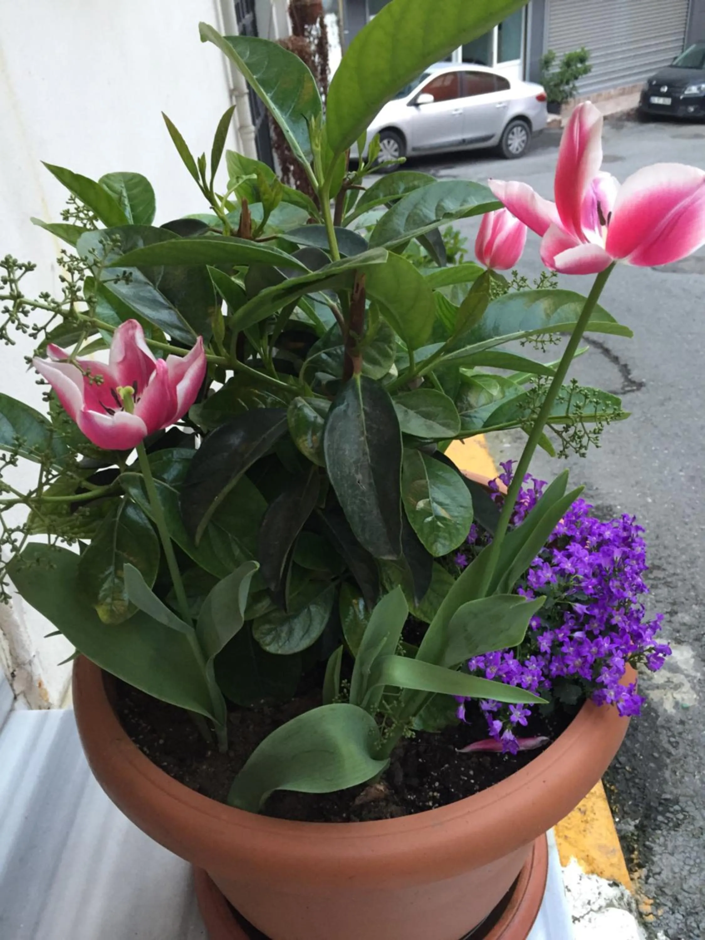 Facade/entrance in The White Swan Suites Beyoglu