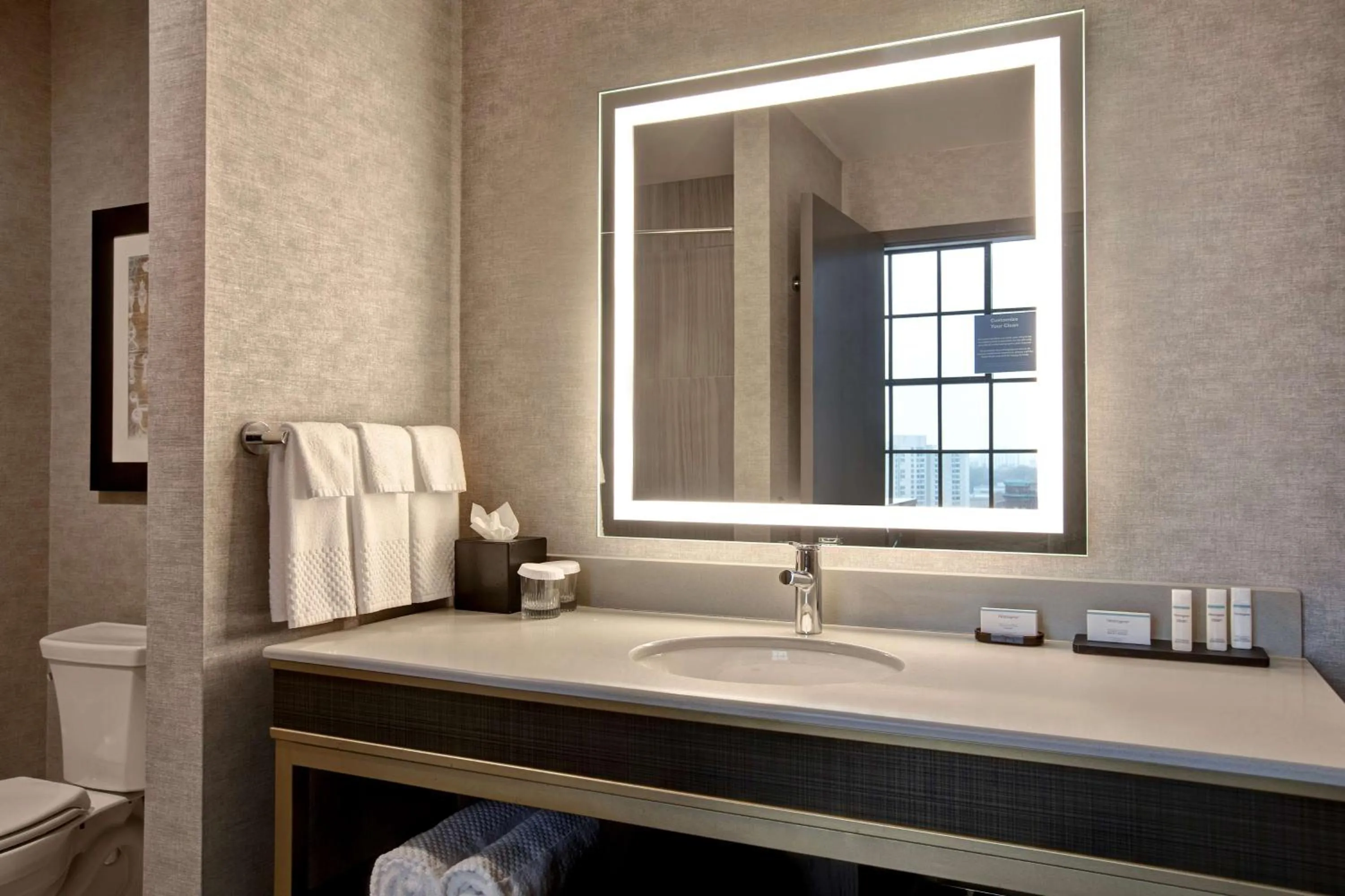 Bathroom in Embassy Suites By Hilton Rockford Riverfront