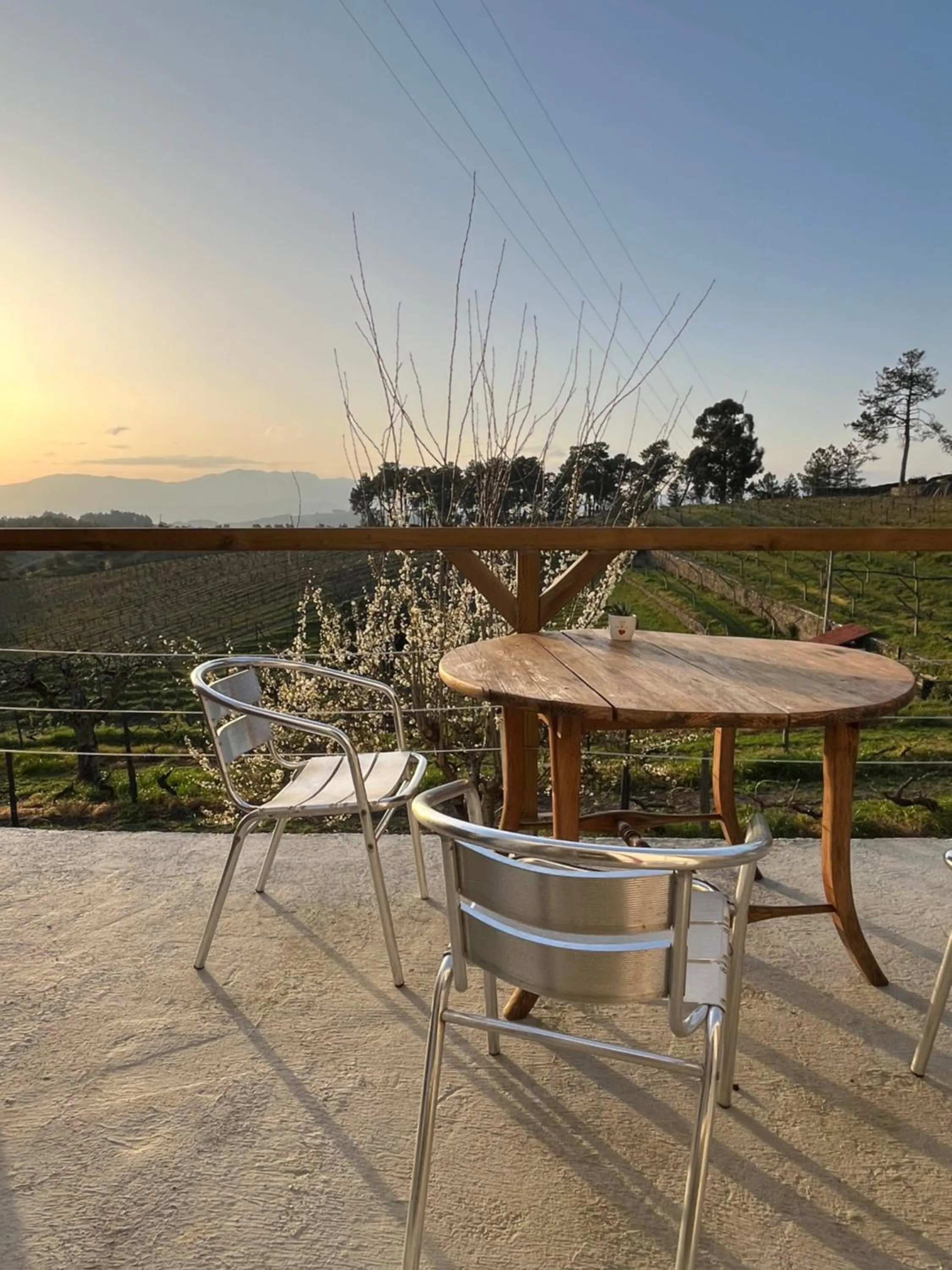 Balcony/Terrace in Quinta Da Estrada Winery Douro Valley