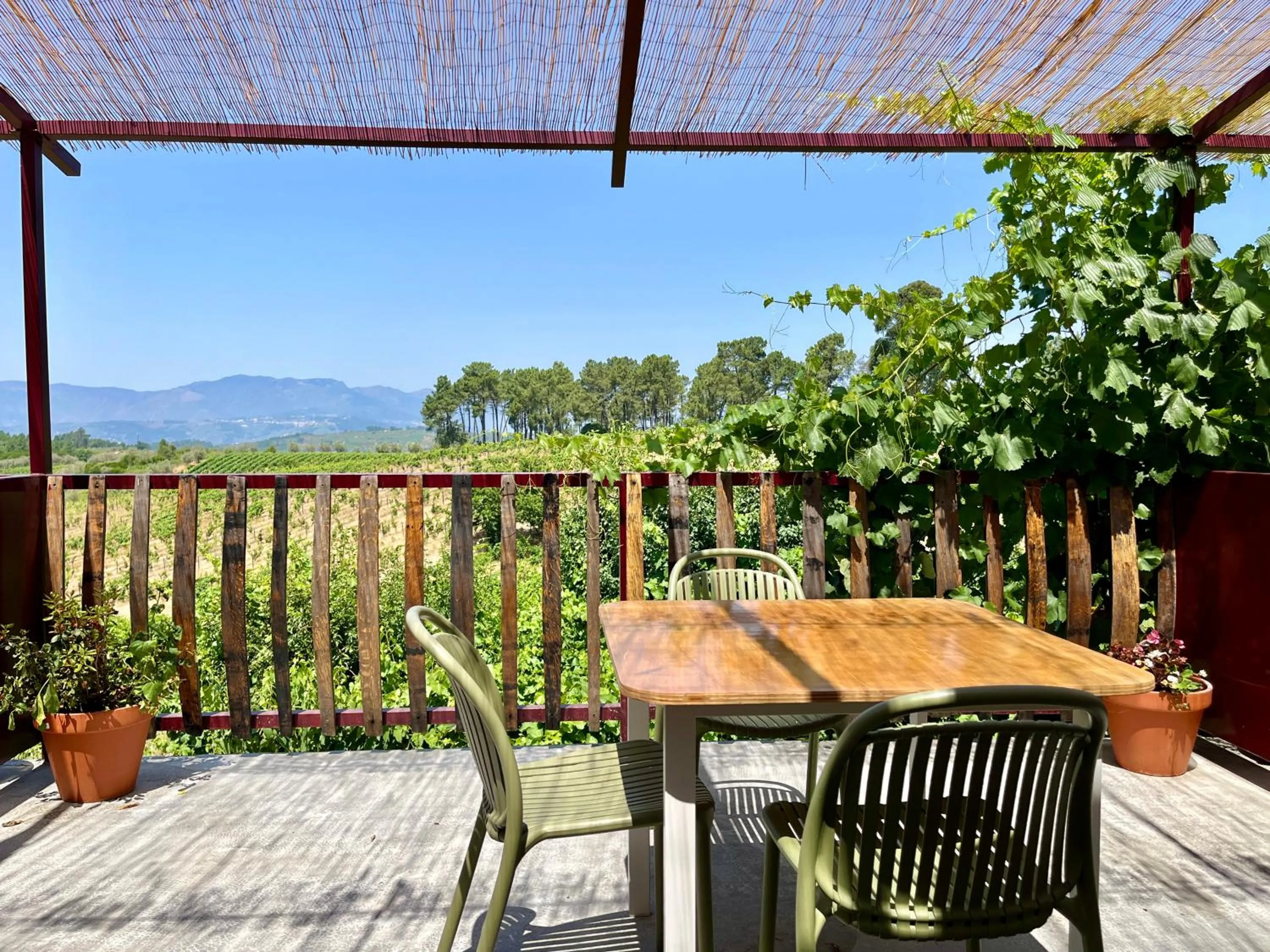View (from property/room) in Quinta Da Estrada Winery Douro Valley