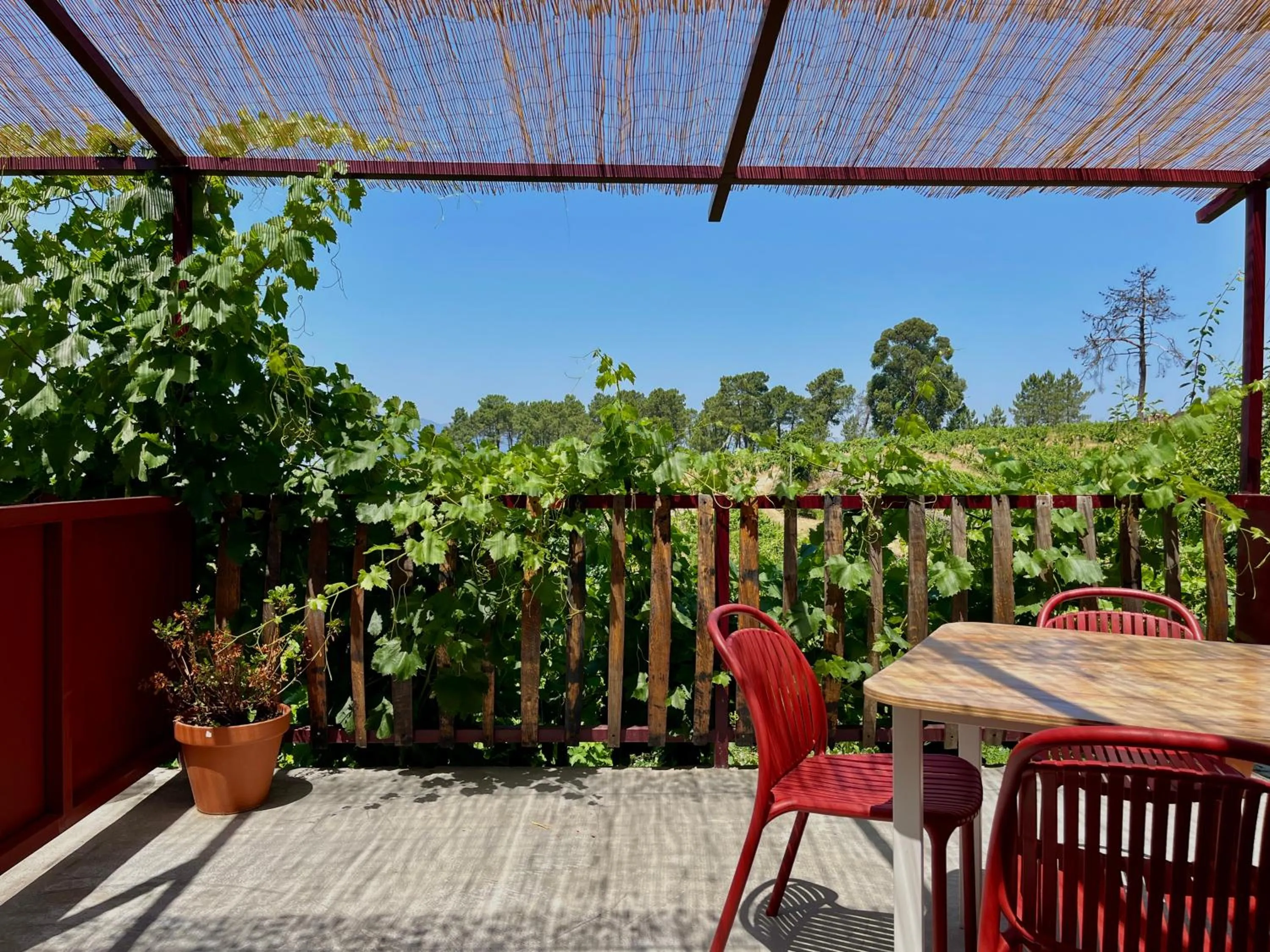 View (from property/room) in Quinta Da Estrada Winery Douro Valley