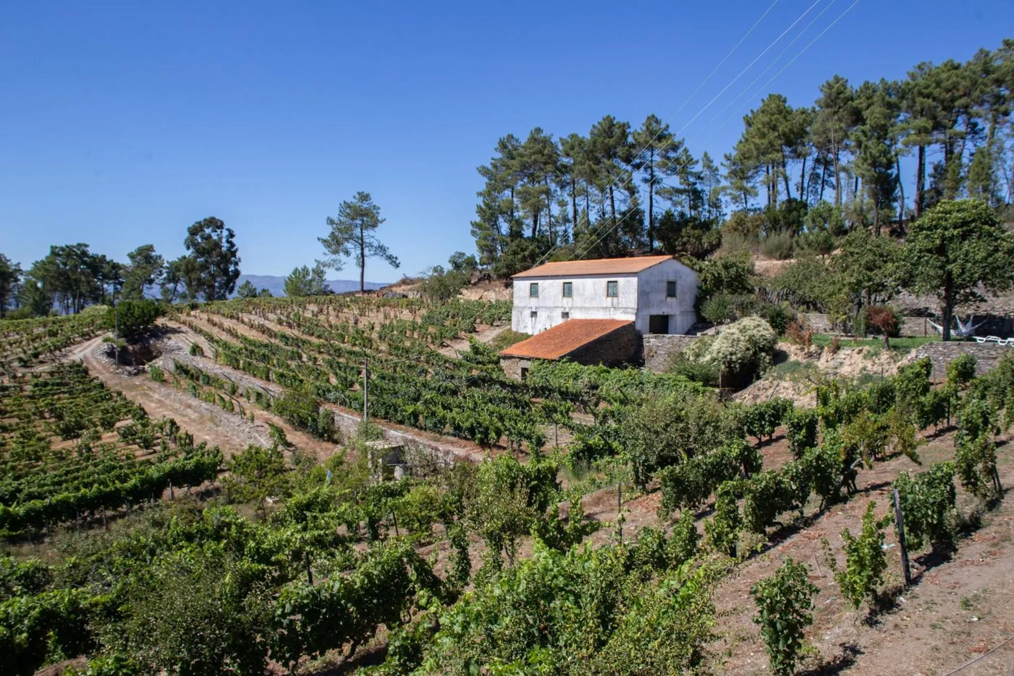 Property building in Quinta Da Estrada Winery Douro Valley