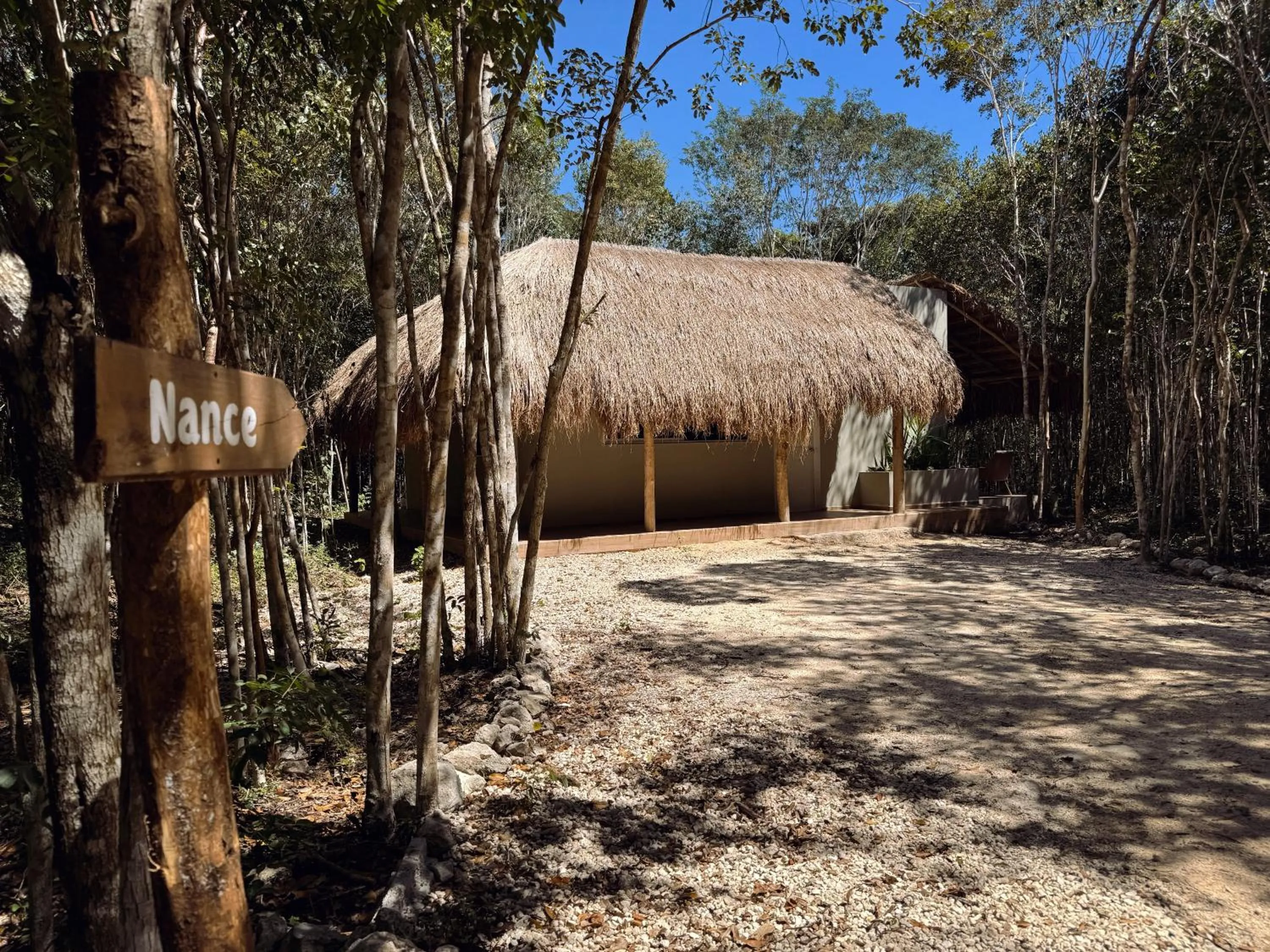Natural landscape in Casa Kaan Calakmul