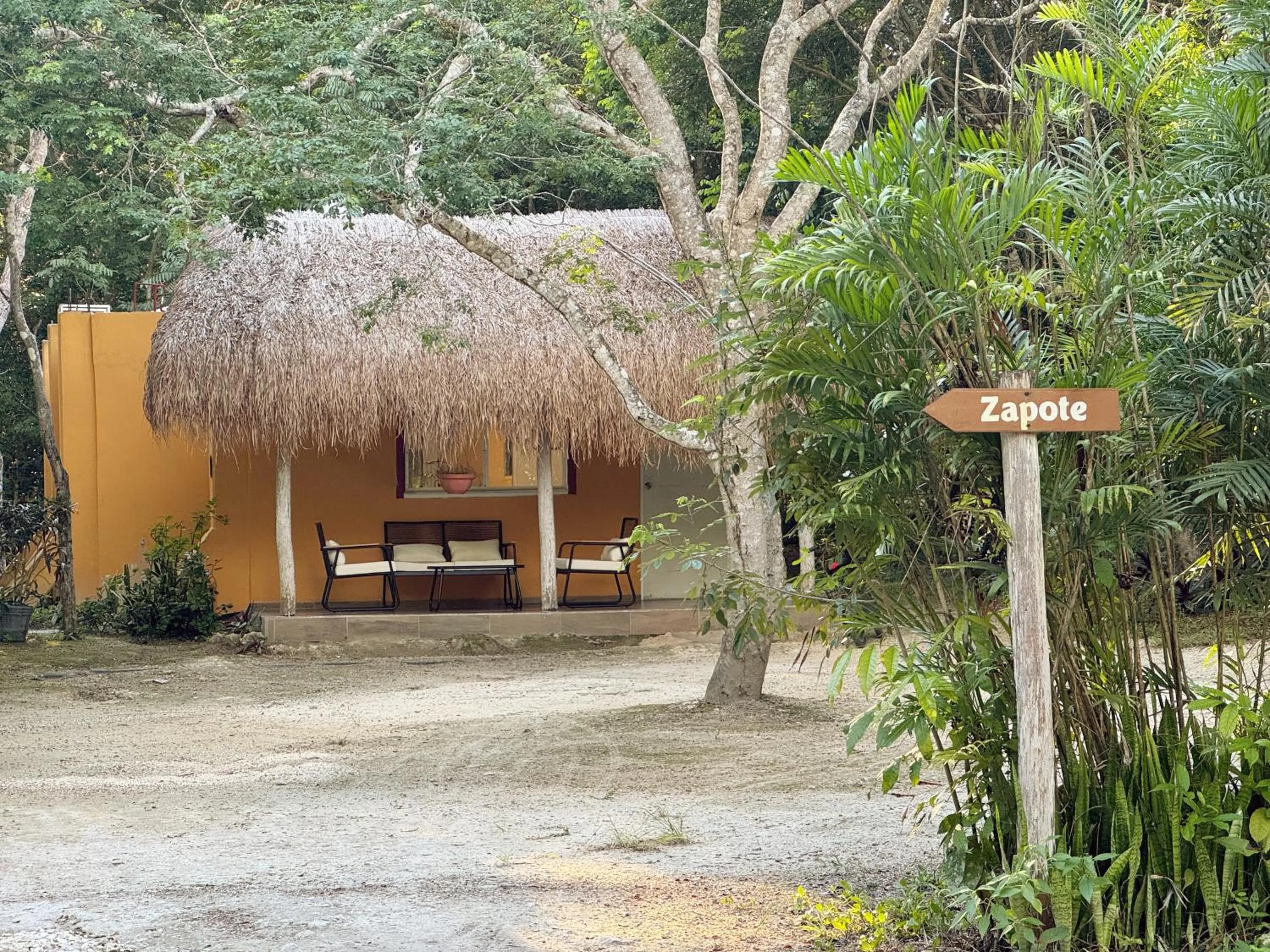 Garden view in Casa Kaan Calakmul