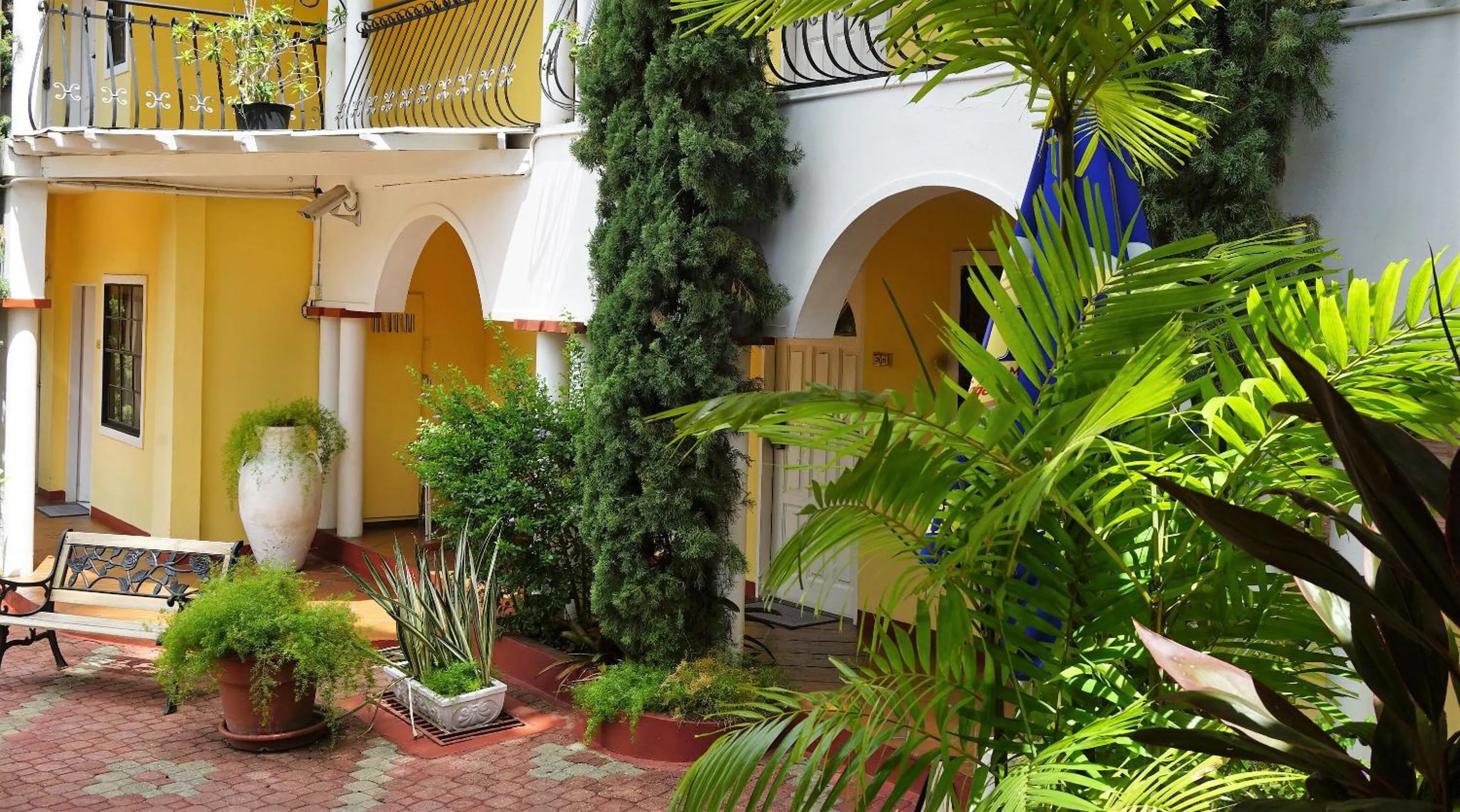 Garden in The Chancellor Hotel