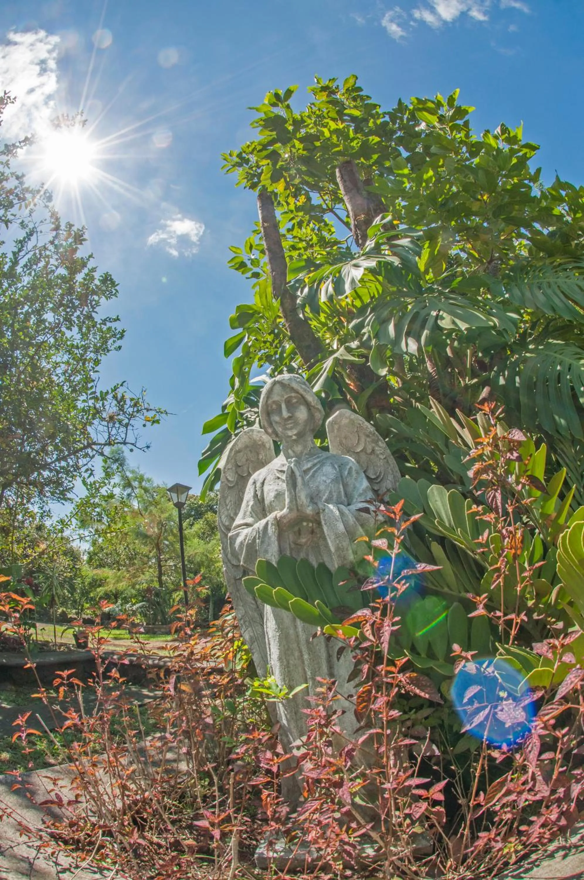 Hotel Hacienda Xico Inn