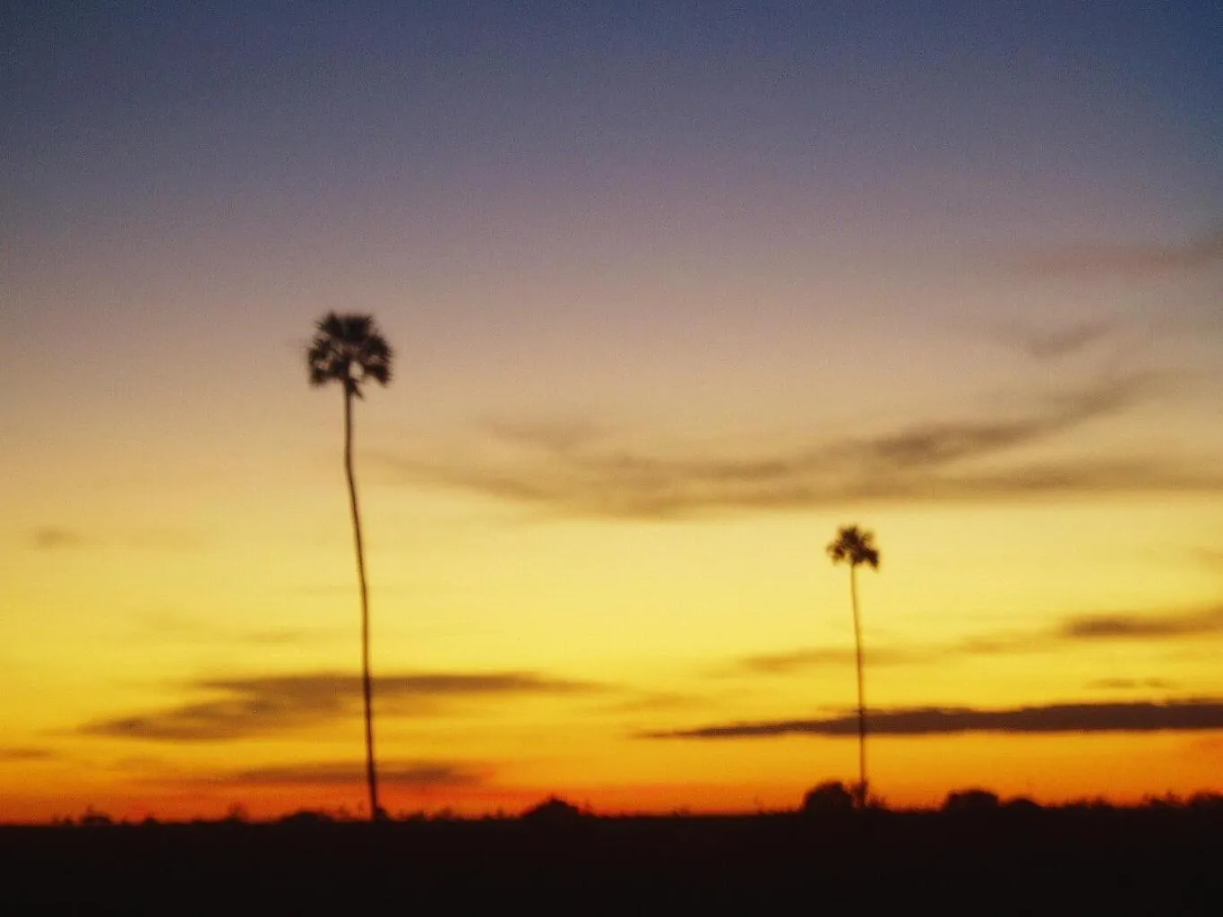 Natural landscape in Antigua Lodge, 70 m from sandy beach