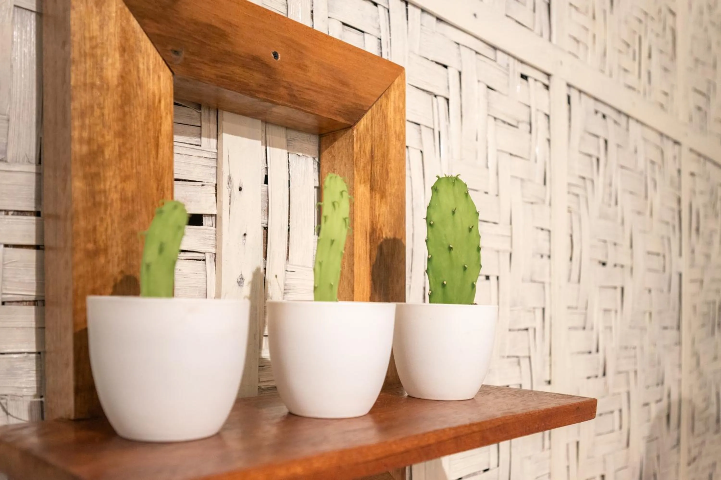 Decorative detail in Soffta Surf Ranch