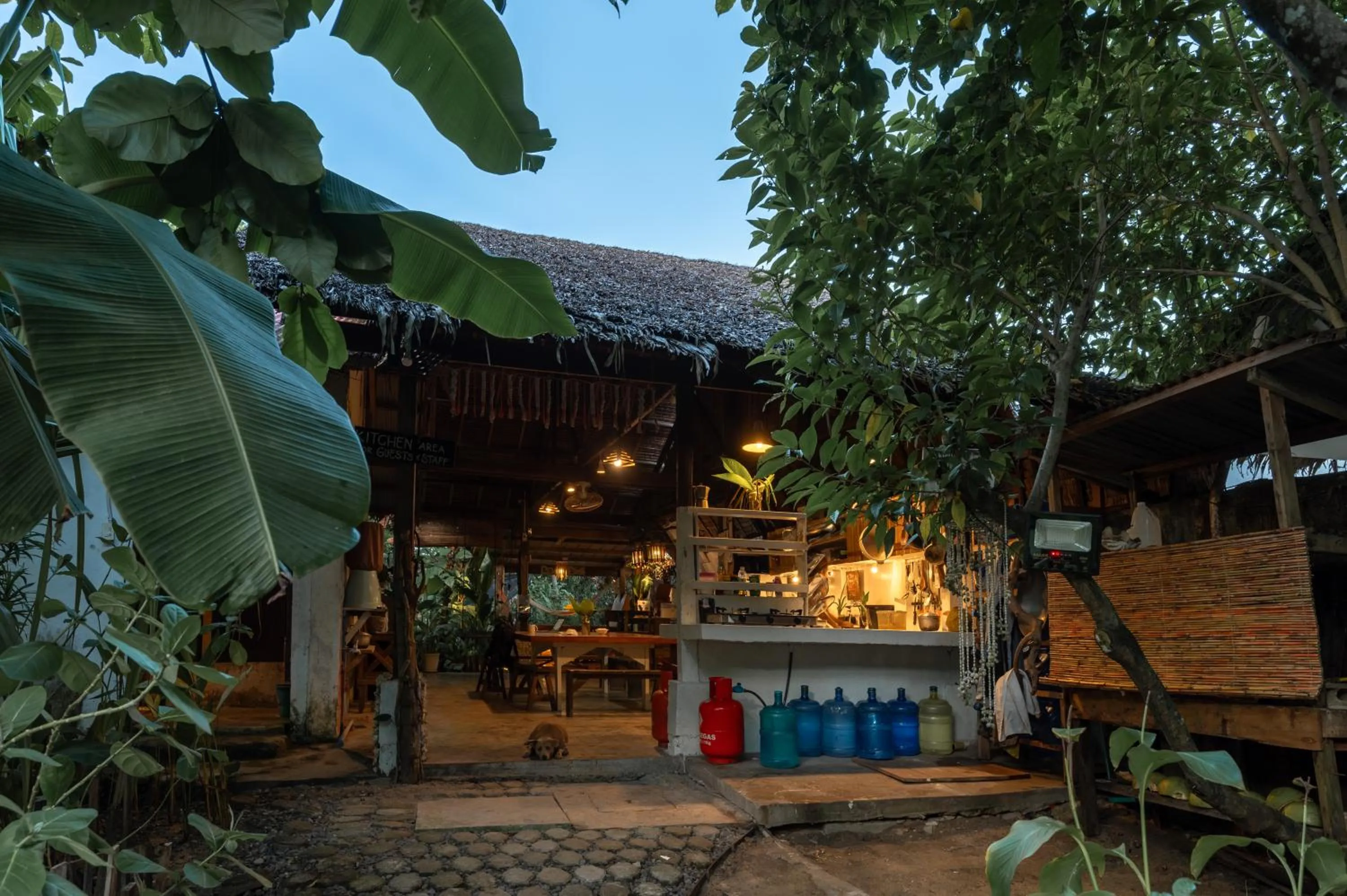 Communal kitchen in Soffta Surf Ranch