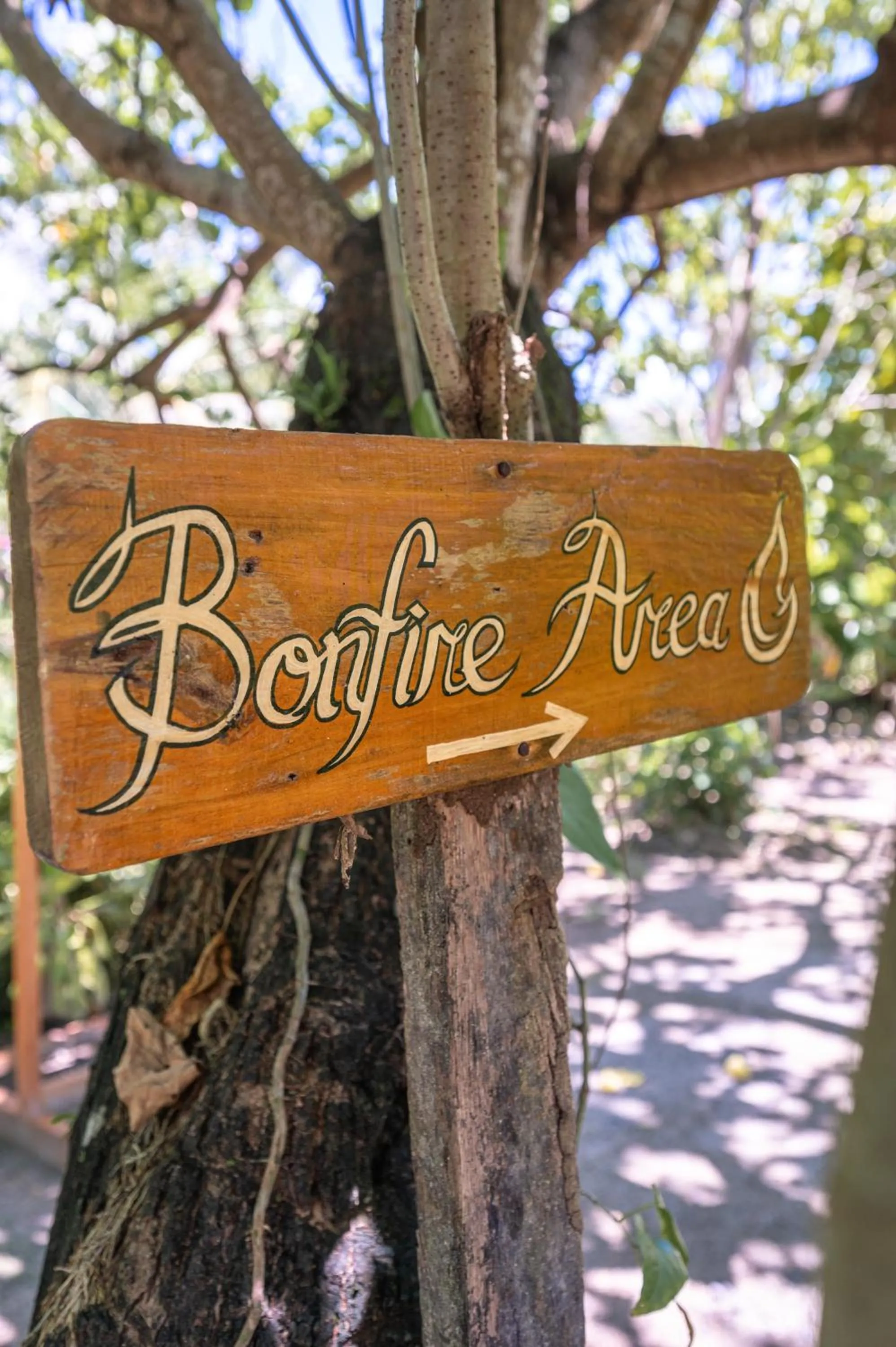 Garden in Soffta Surf Ranch