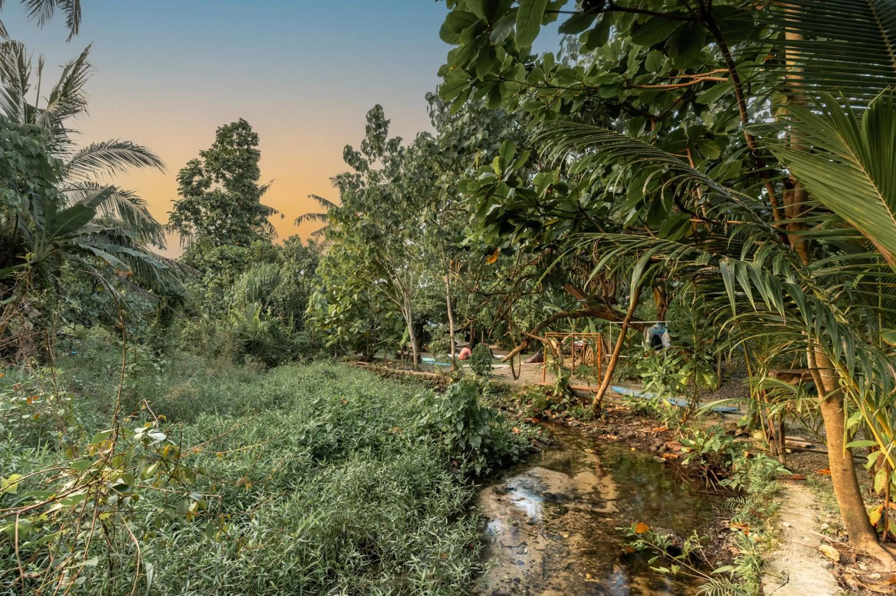 Garden view in Soffta Surf Ranch
