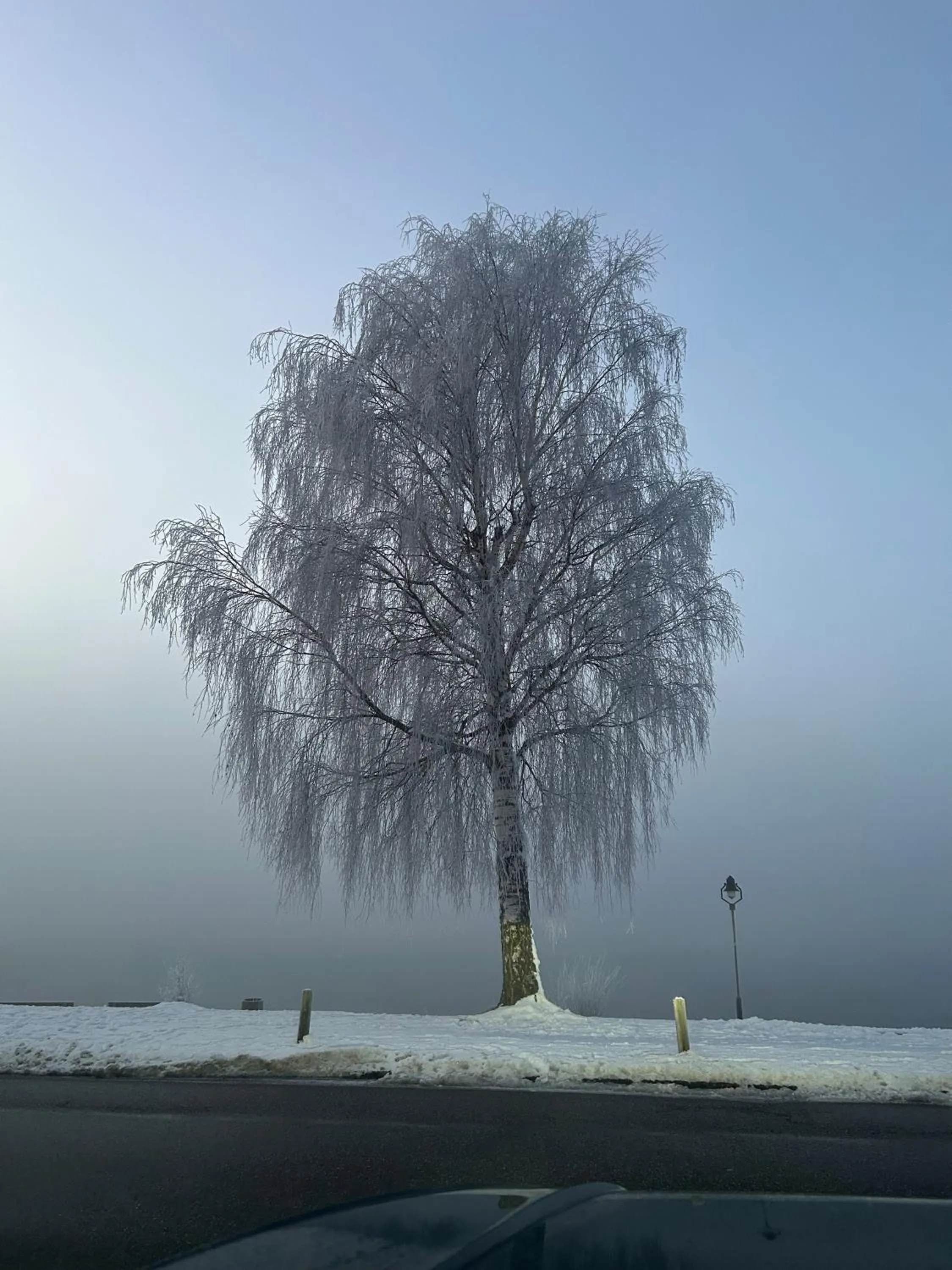 View (from property/room) in Residenz Hopfensee