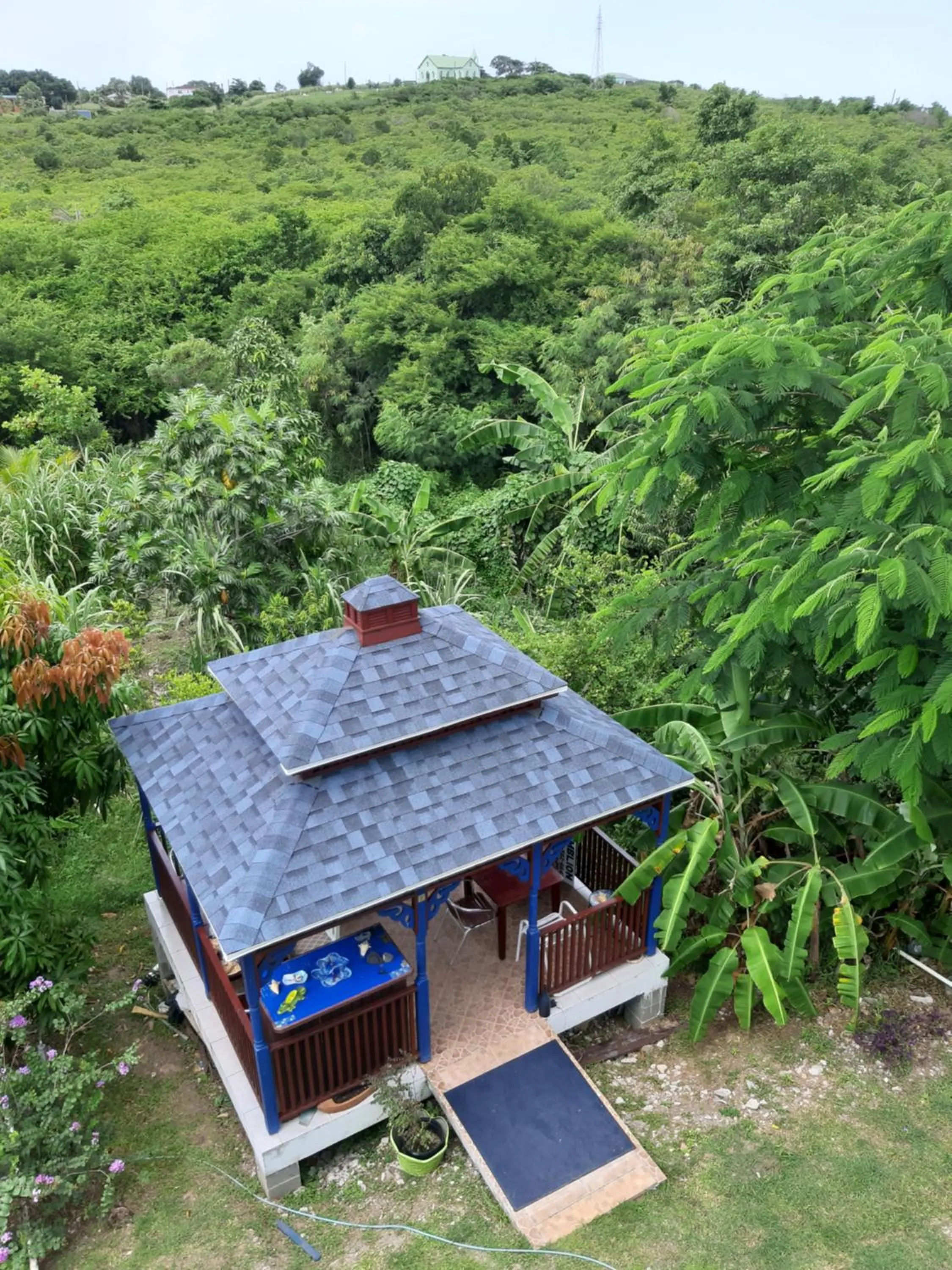 Garden in Lamblion Holiday Apartment
