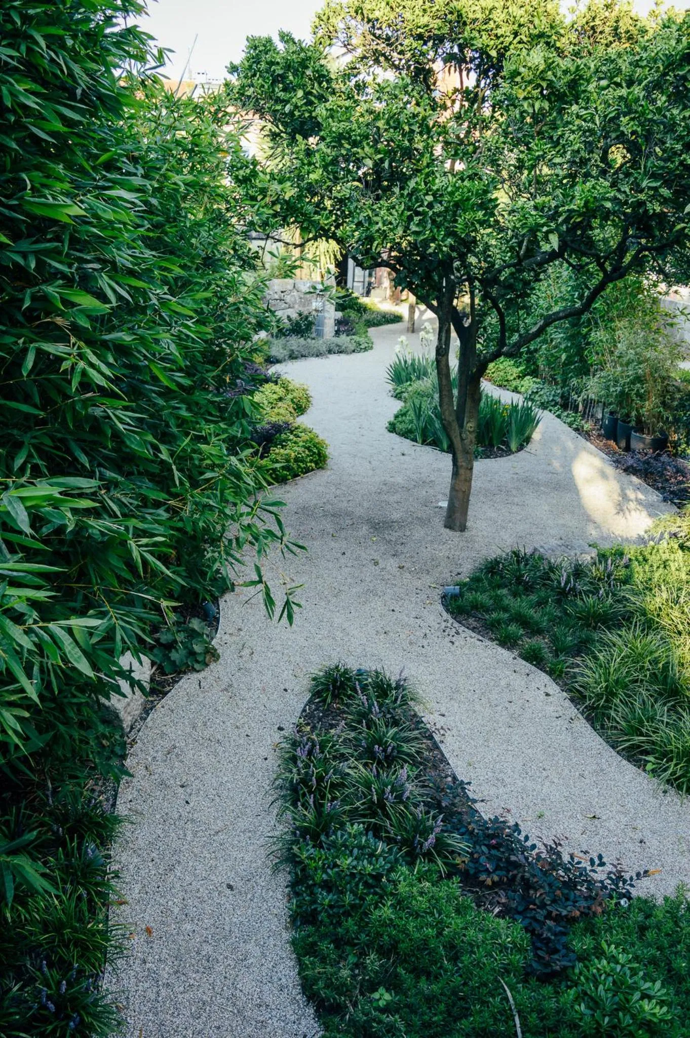 Garden in Queen's Garden Hostel