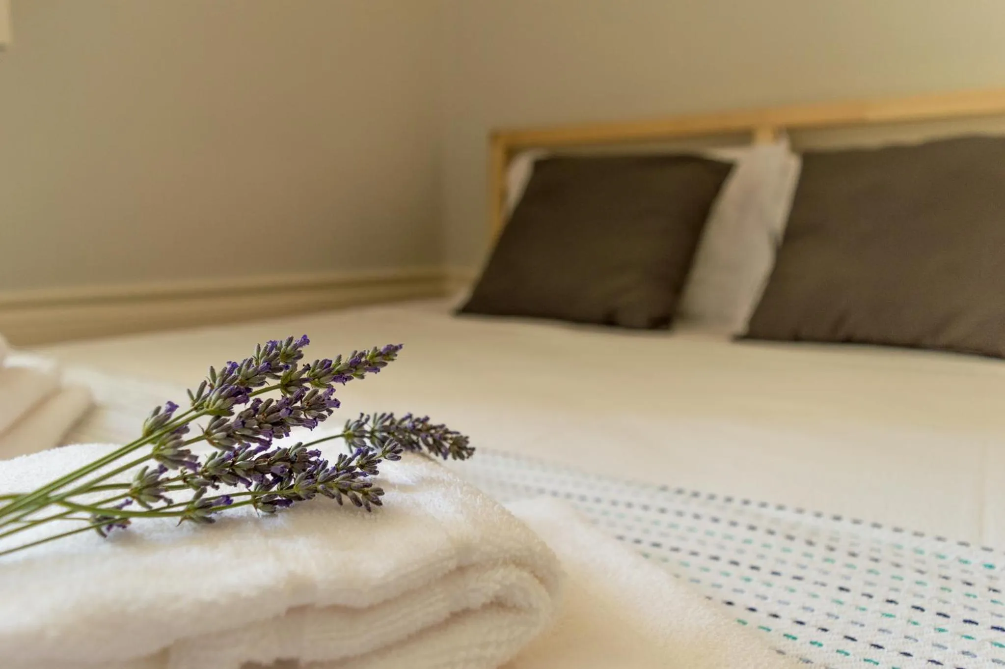 Bed in Queen's Garden Hostel