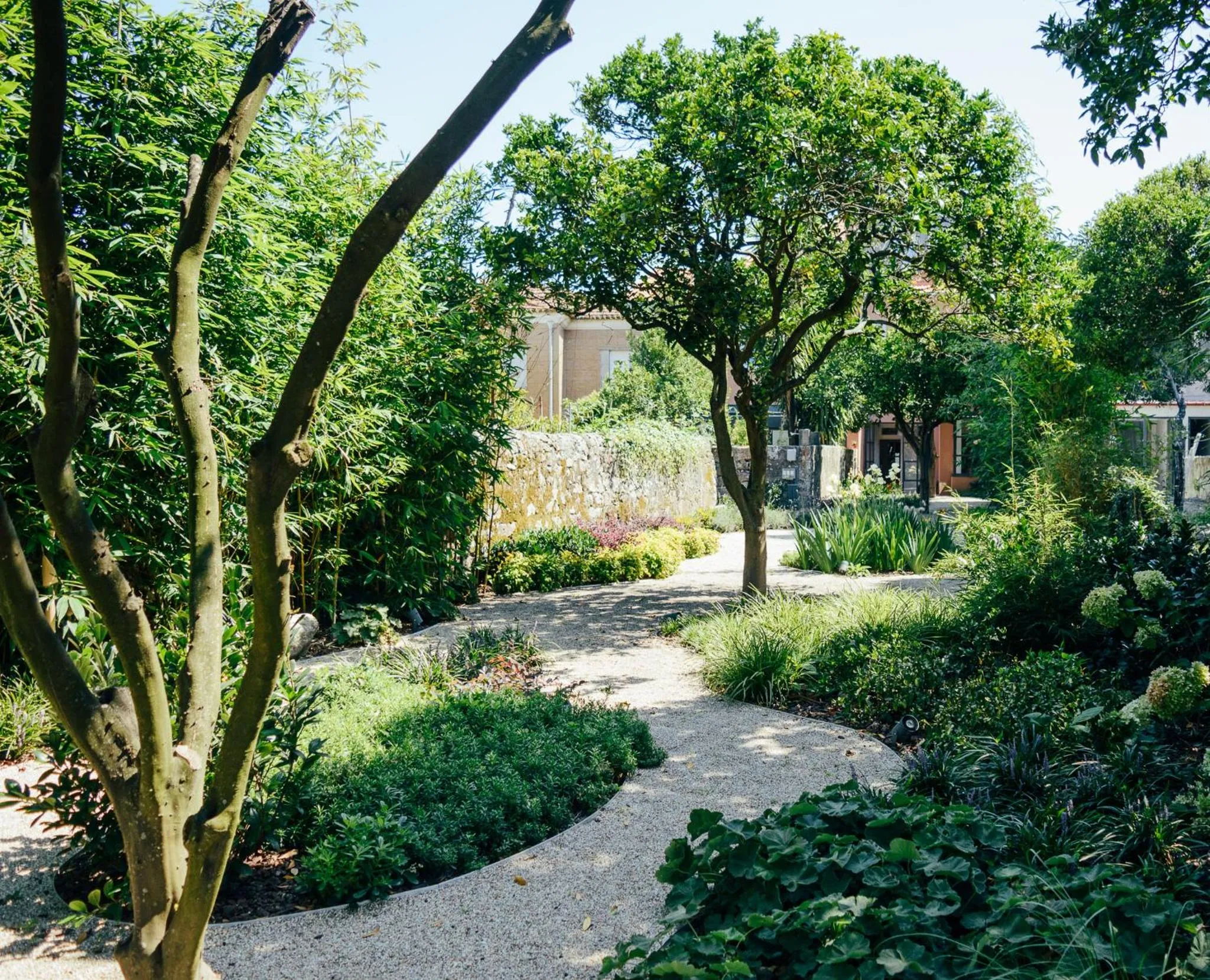 Garden view in Queen's Garden Hostel