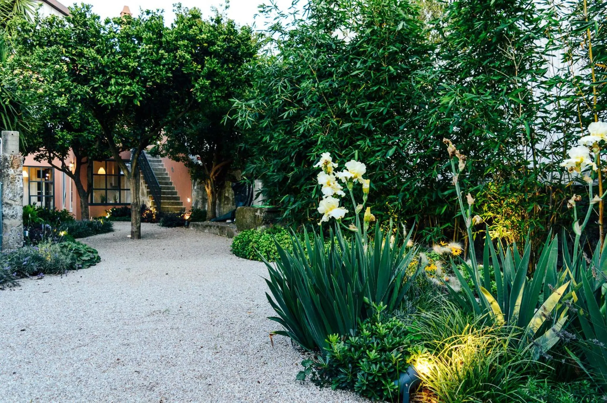 Garden view in Queen's Garden Hostel