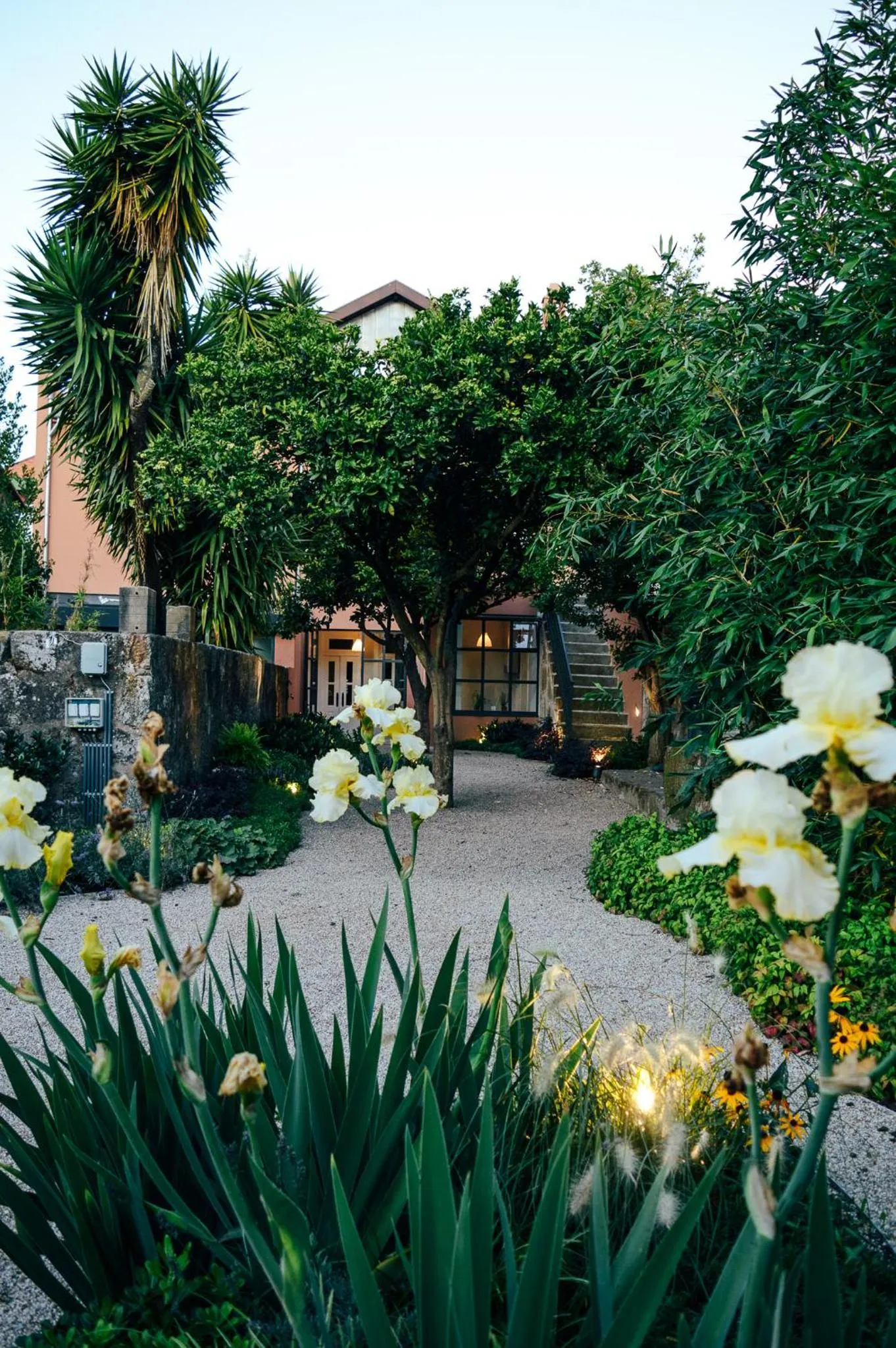 Garden view in Queen's Garden Hostel