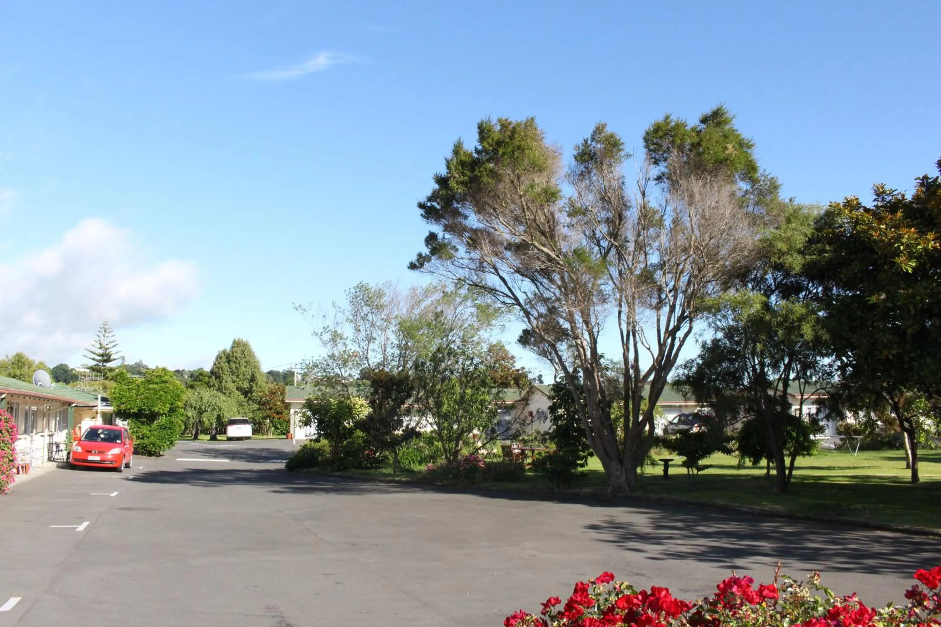 Garden view in Astral Motel