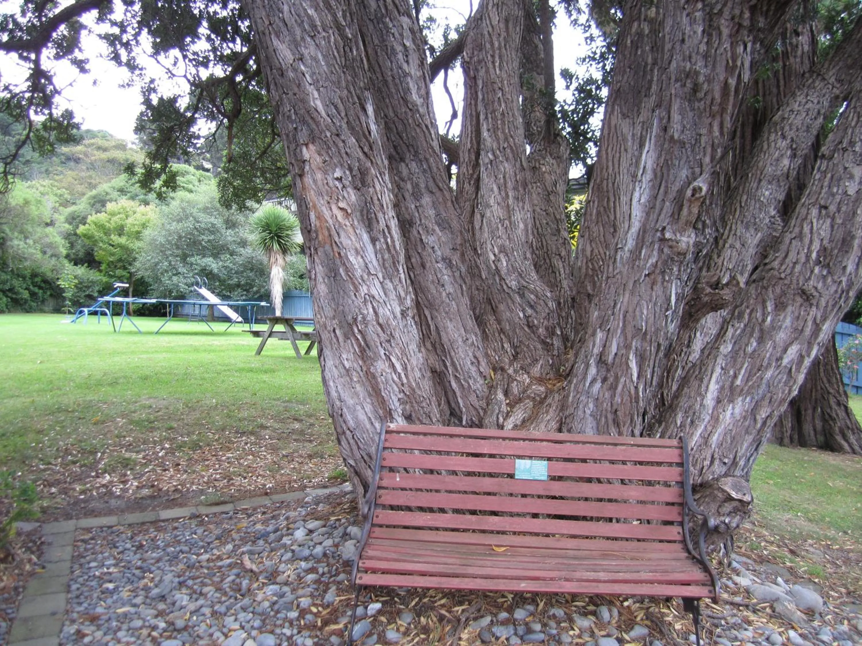 Other in Camellia Court Motel