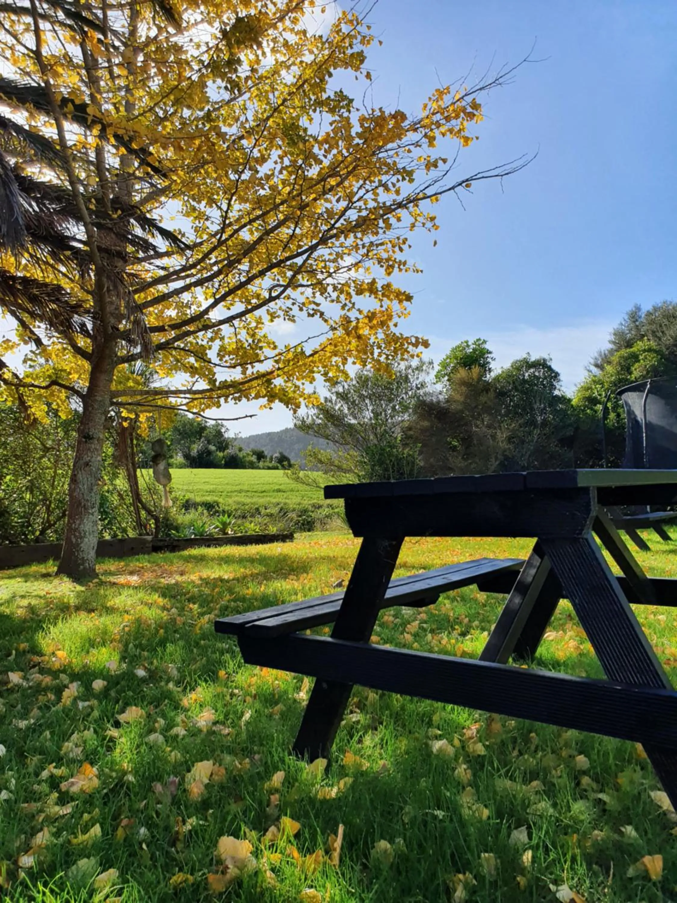Garden in Breakers Motel