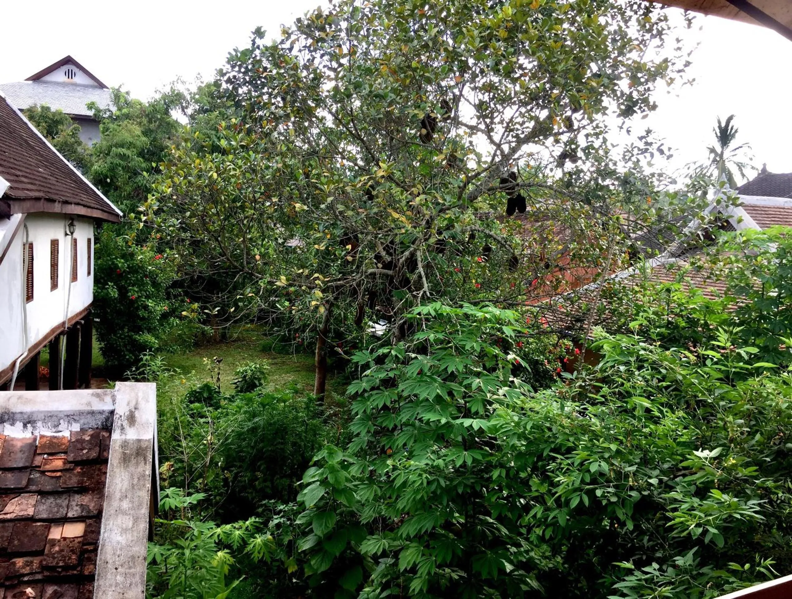 Garden in Soutikone1 Guesthouse