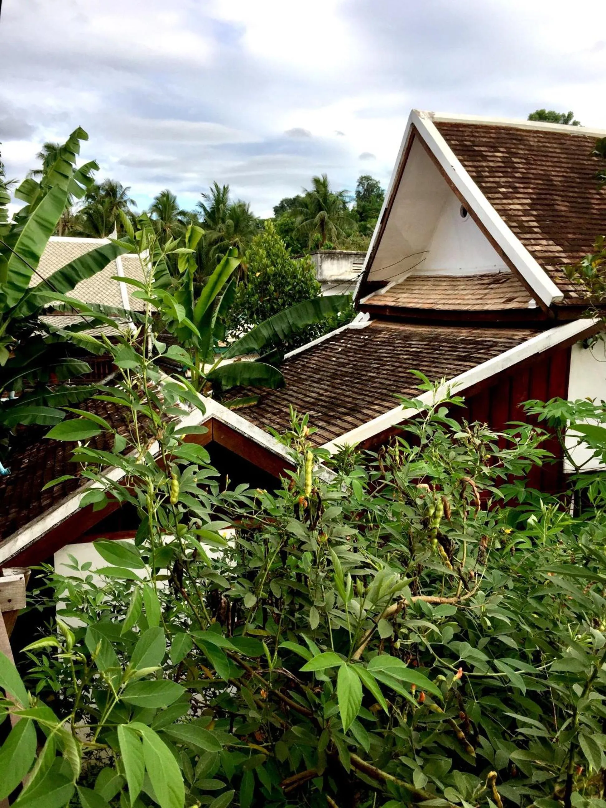City view in Soutikone1 Guesthouse