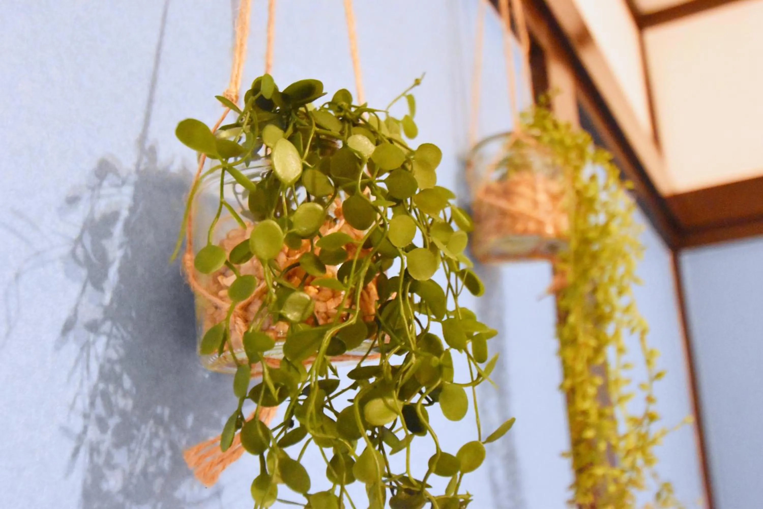 TOMARIE Residential Suite Edogawa