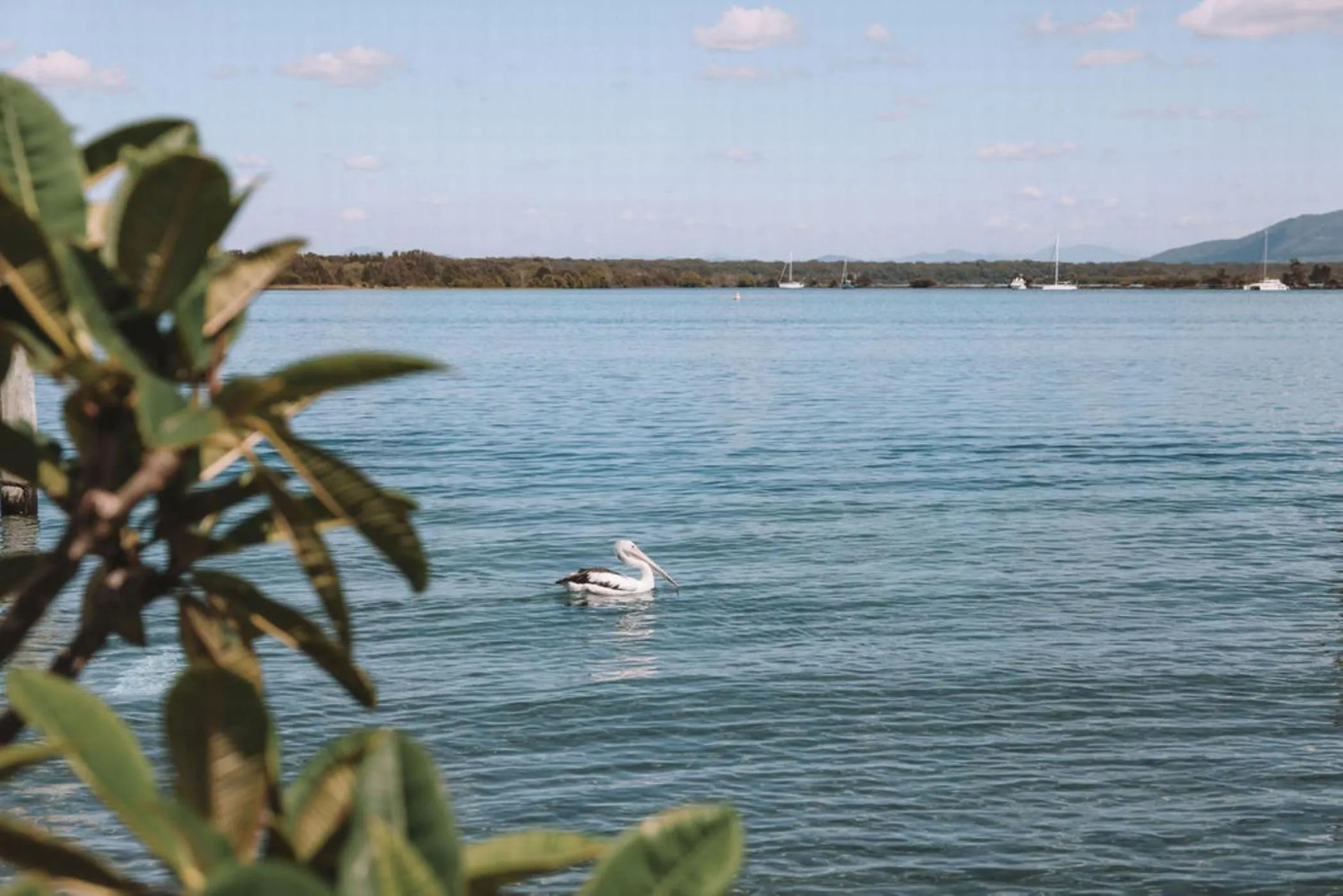 Sea view in Salt @ South West Rocks